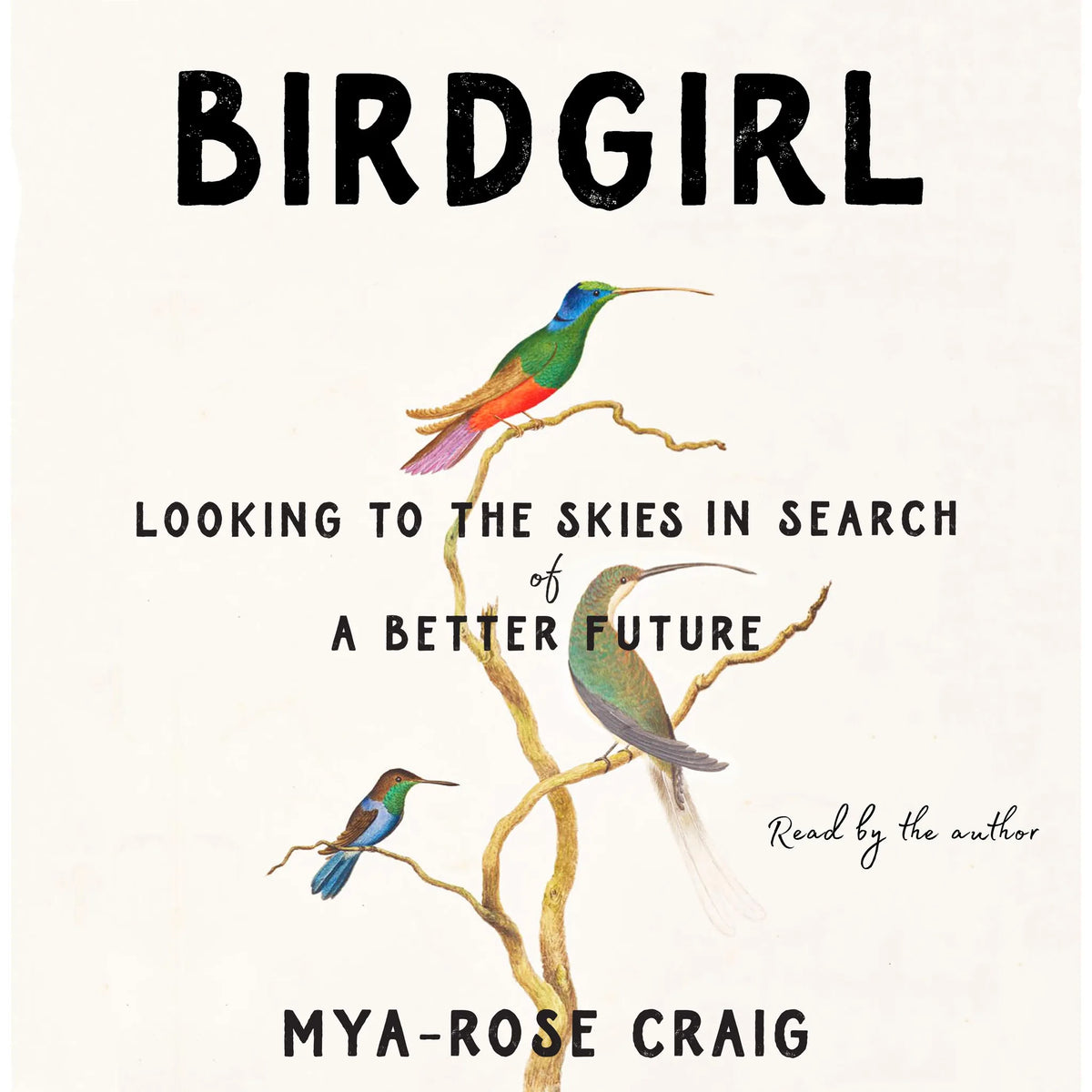 Birdgirl