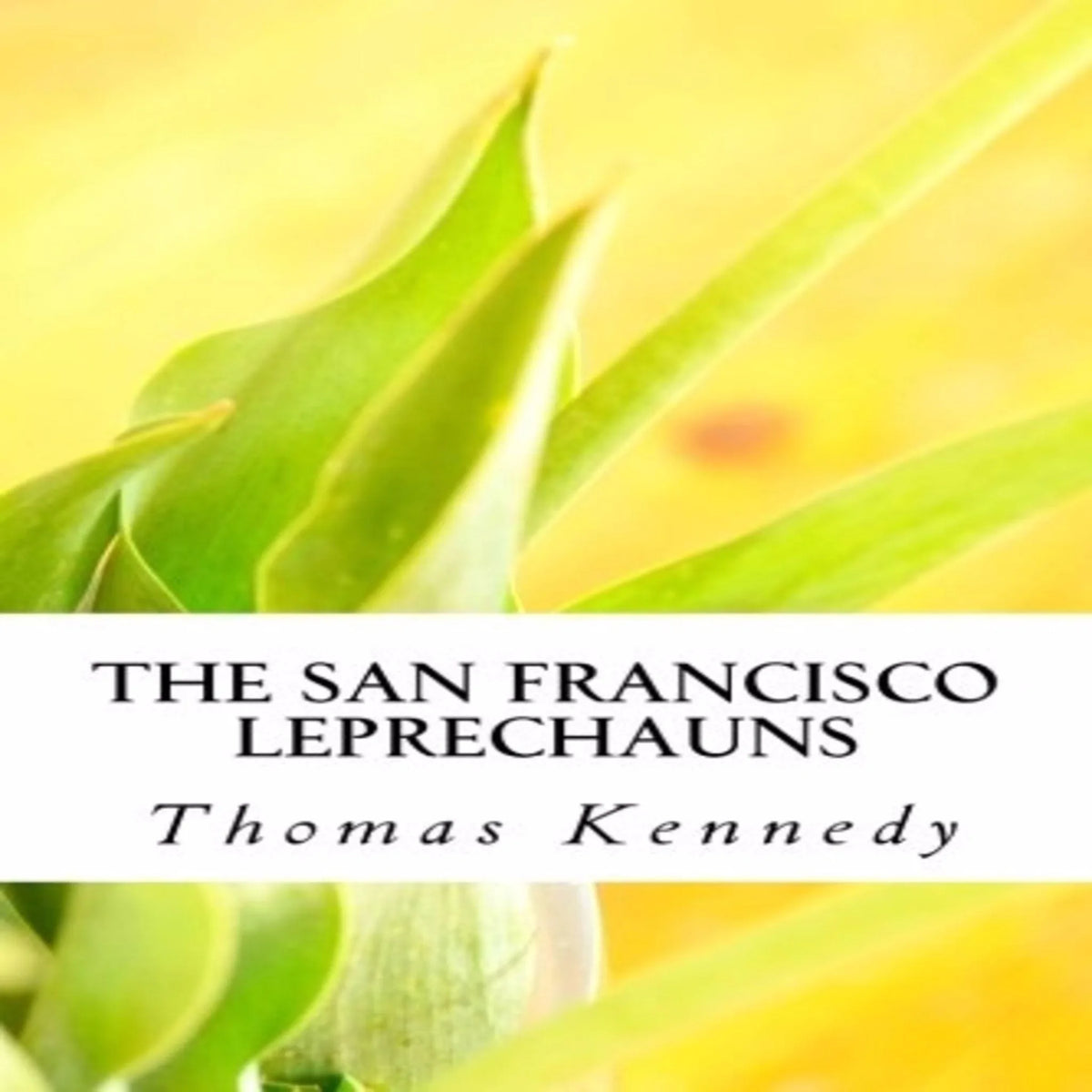 The San Francisco Leprechans