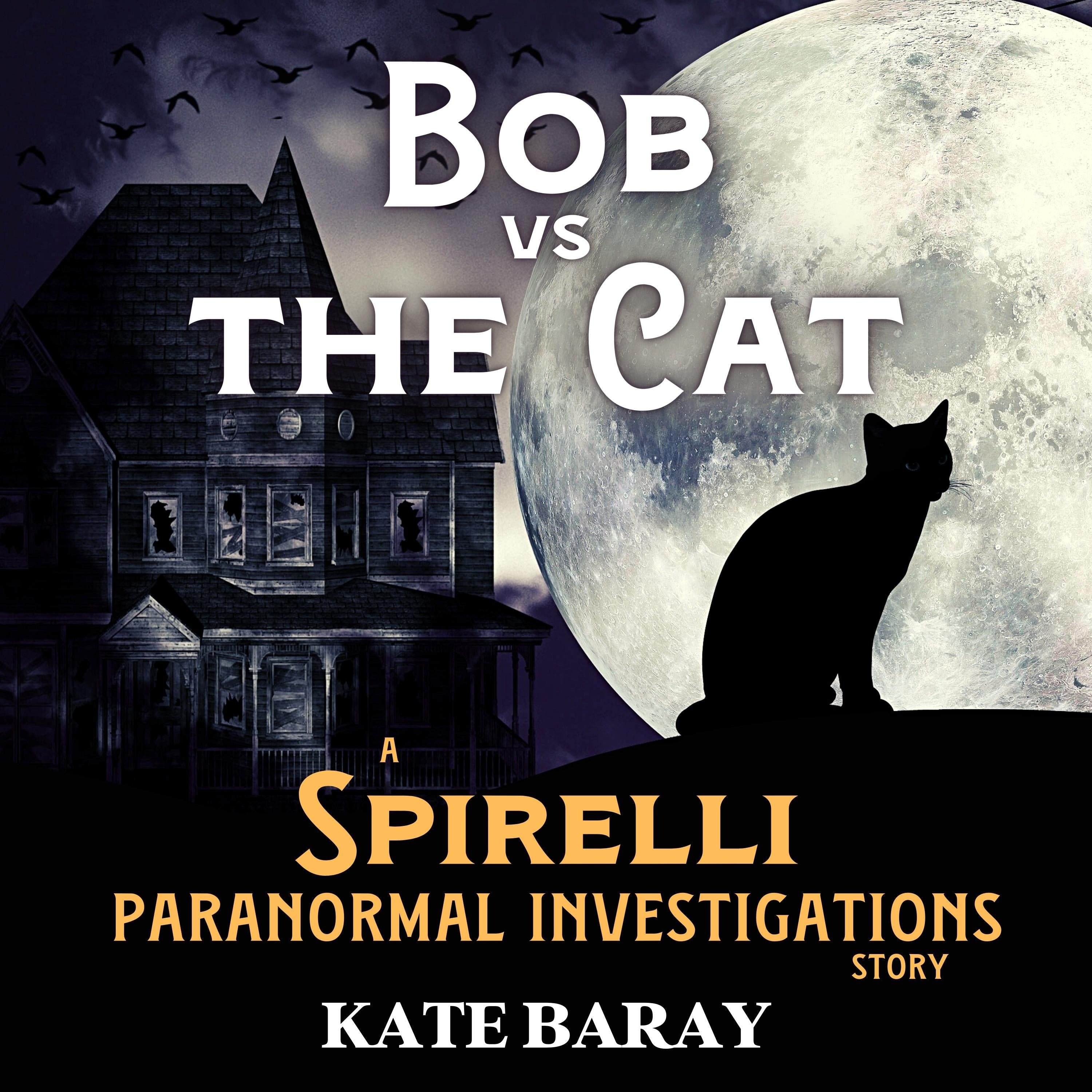 Bob vs the Cat