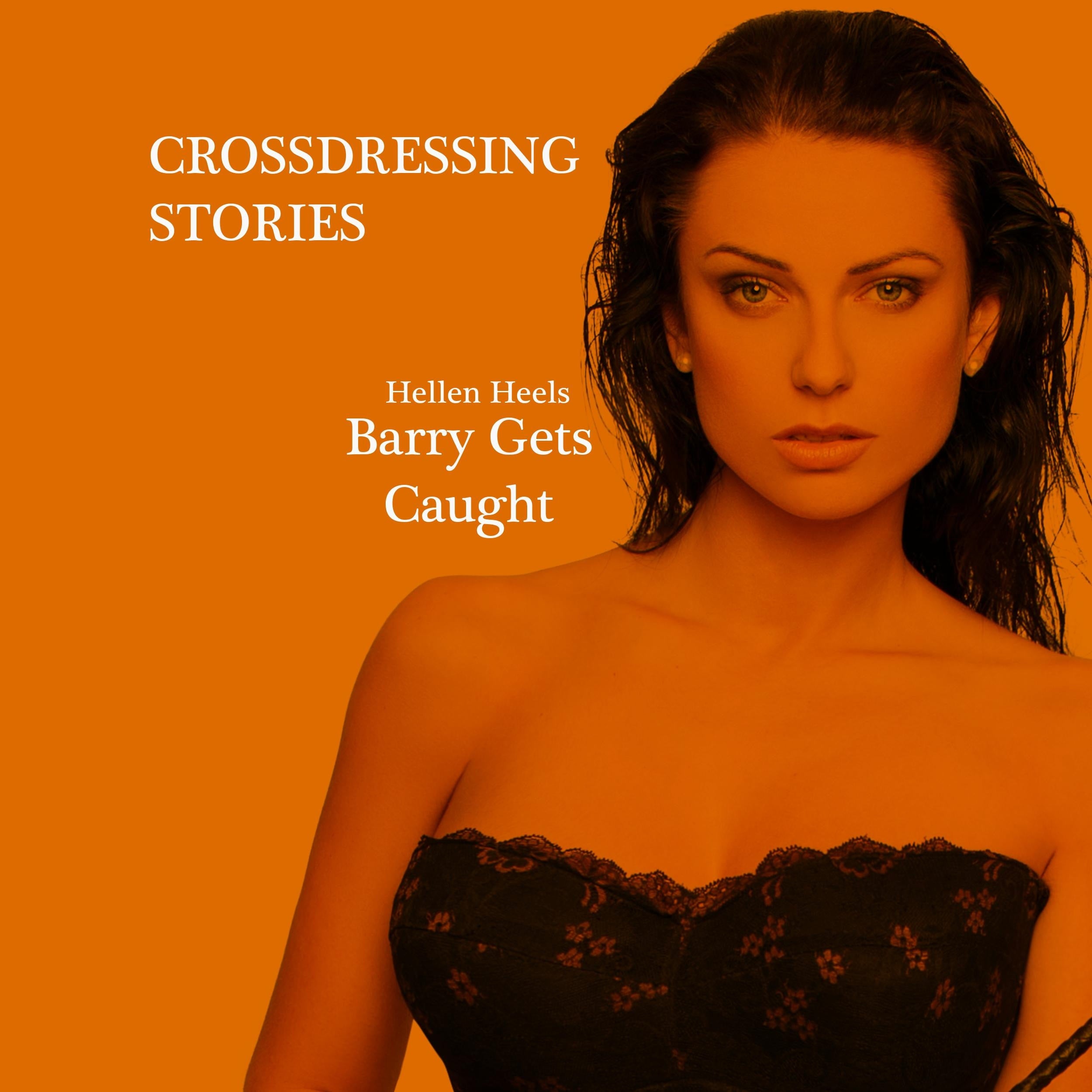 Crossdressing Stories