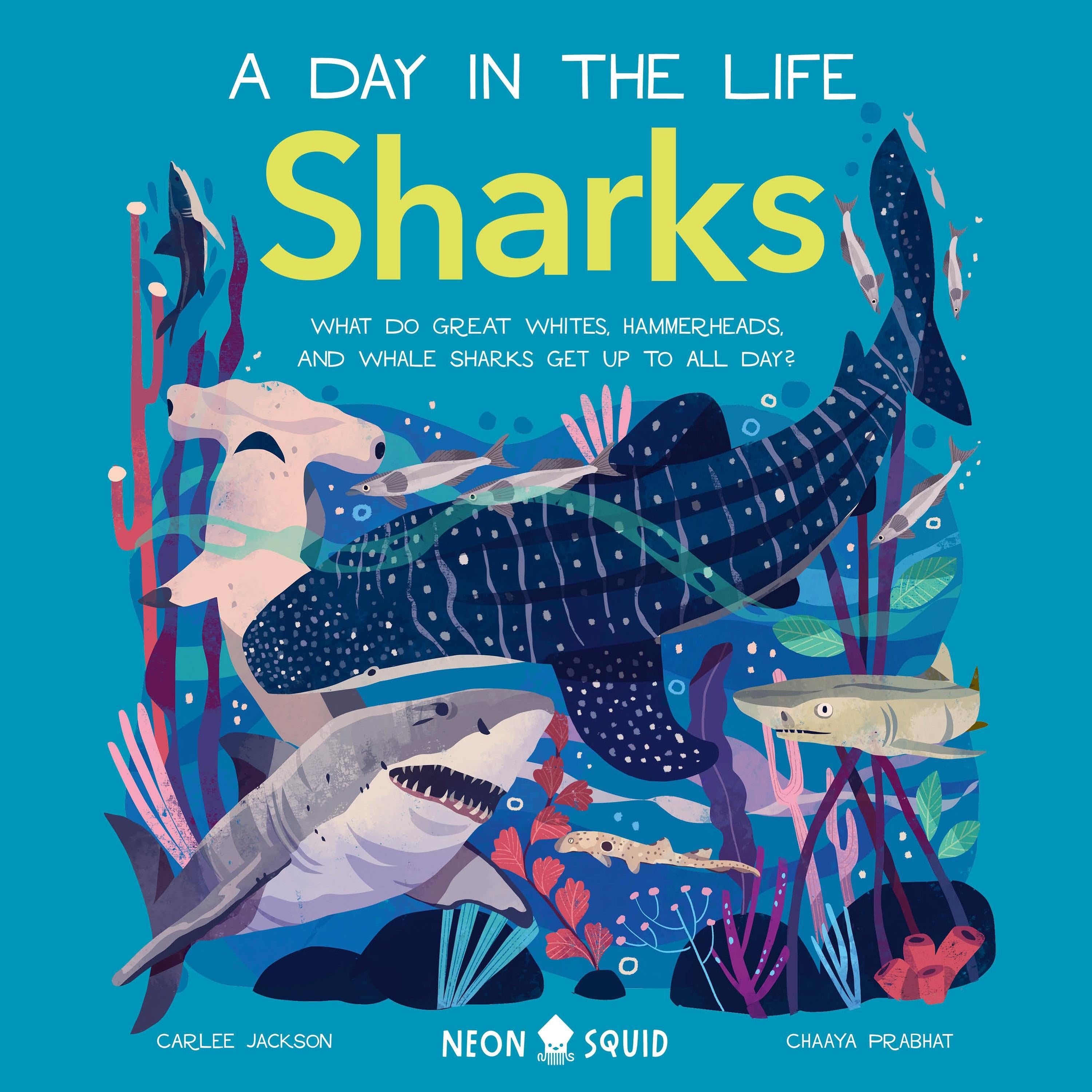 Sharks (A Day in the Life)