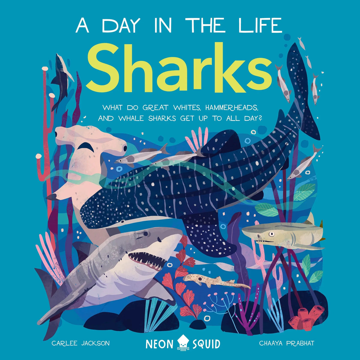 Sharks (A Day in the Life)
