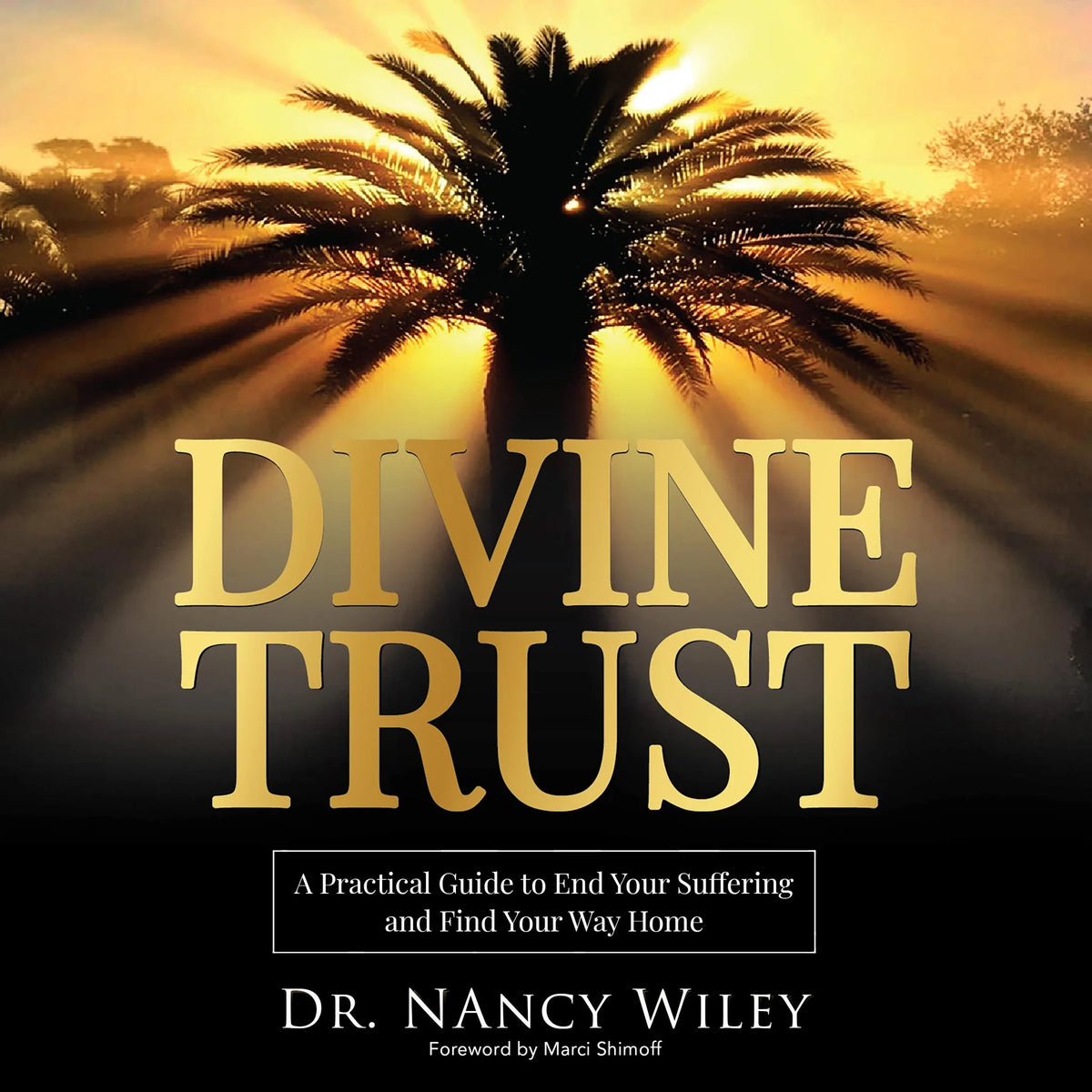 Divine Trust