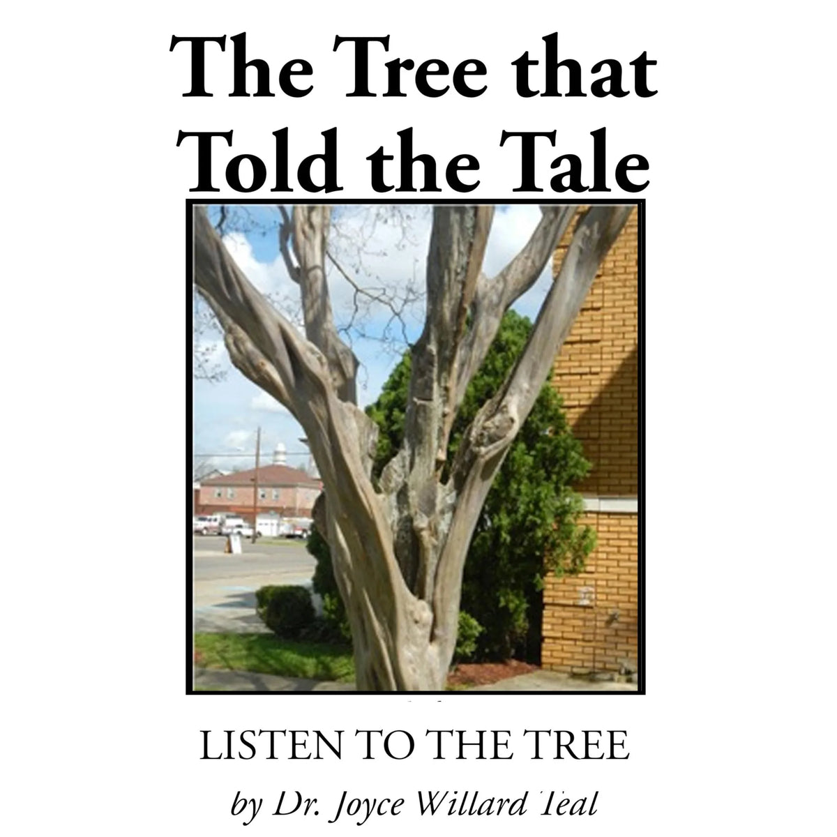 The Tree That Told A Tale