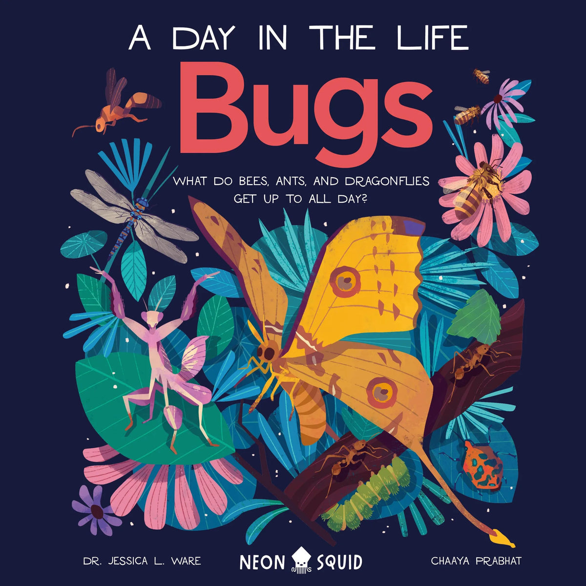 Bugs (A Day in the Life)