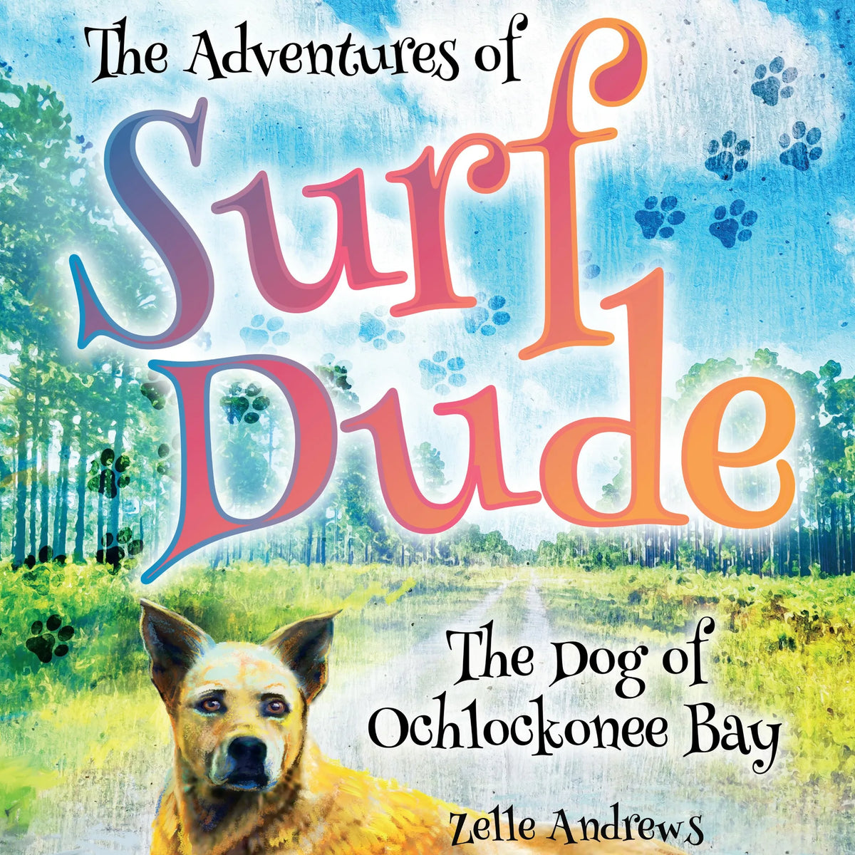 The Adventures of Surf Dude