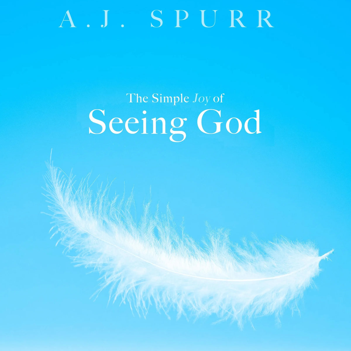 The Simple Joy of Seeing God