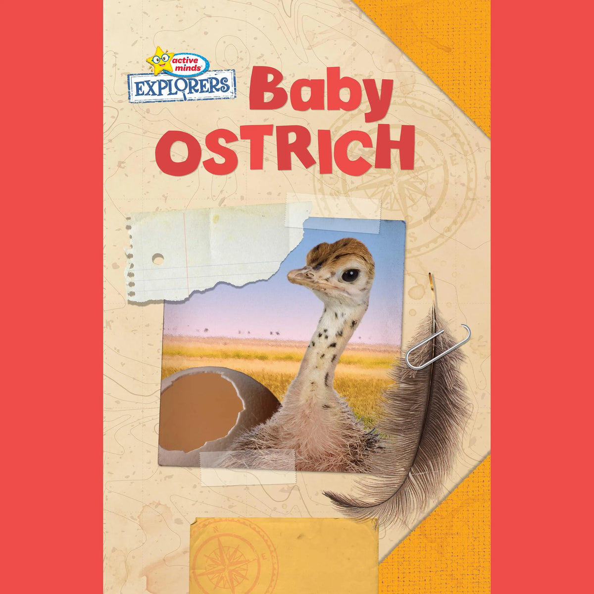 Active Minds Explorers: Baby Ostrich