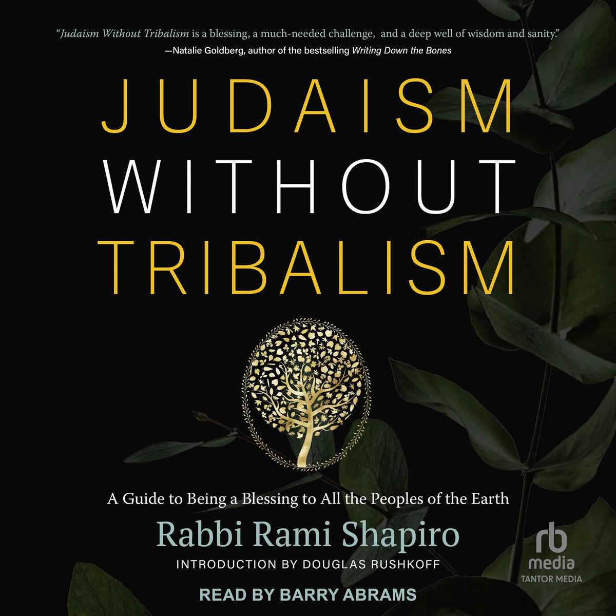 Judaism Without Tribalism