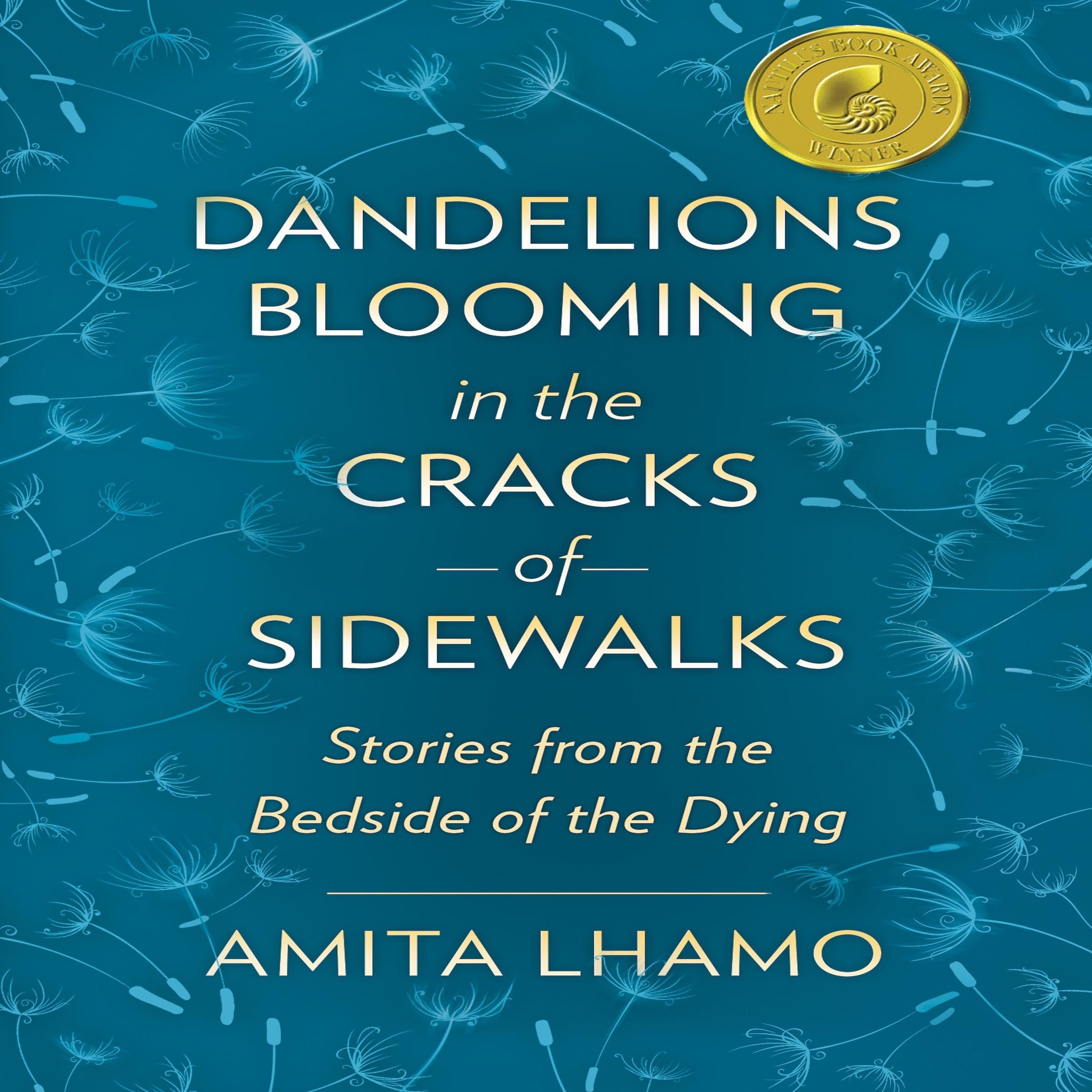 Dandelions Blooming in the Cracks of Sidewalks