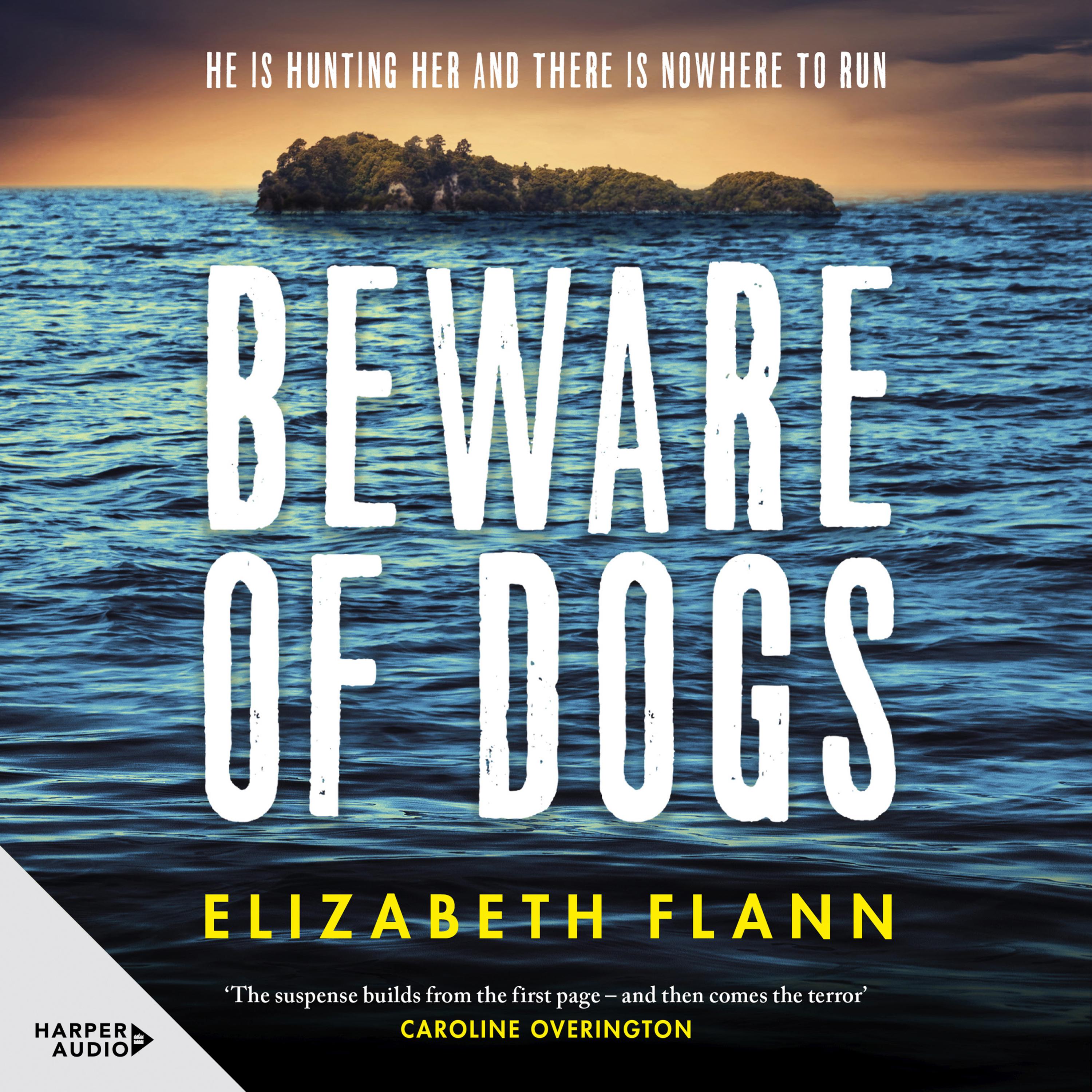 Beware of Dogs