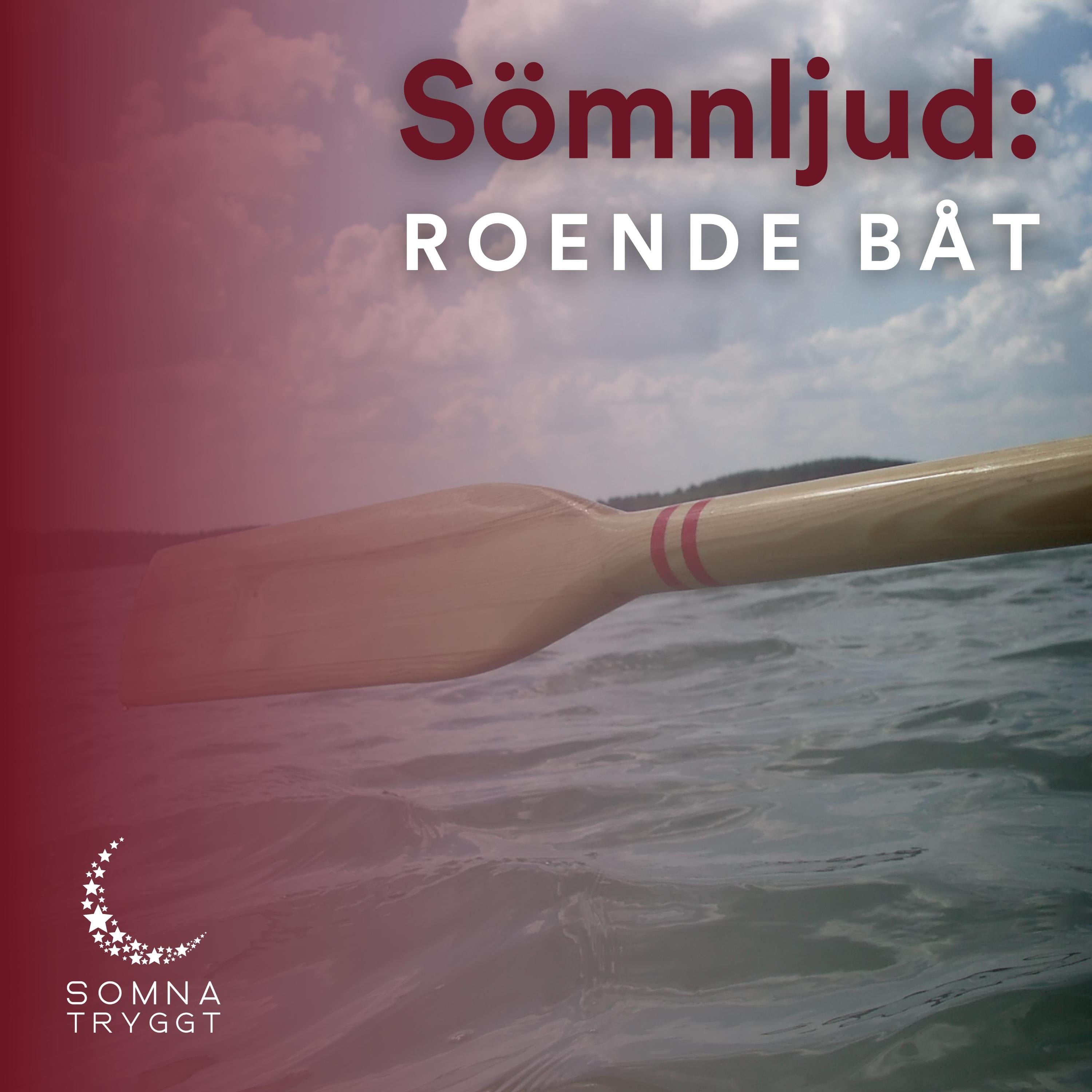 Sömnljud: