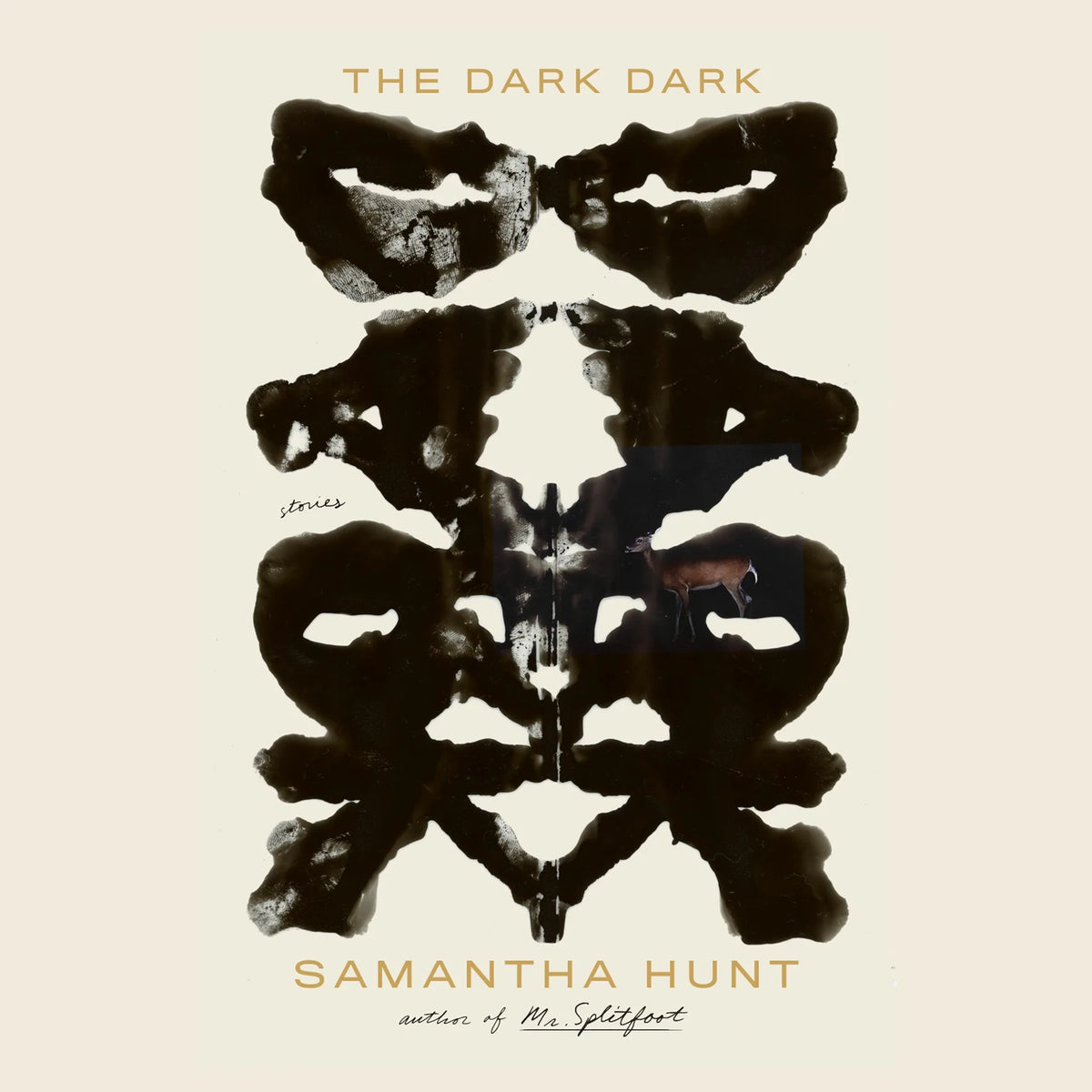 The Dark Dark