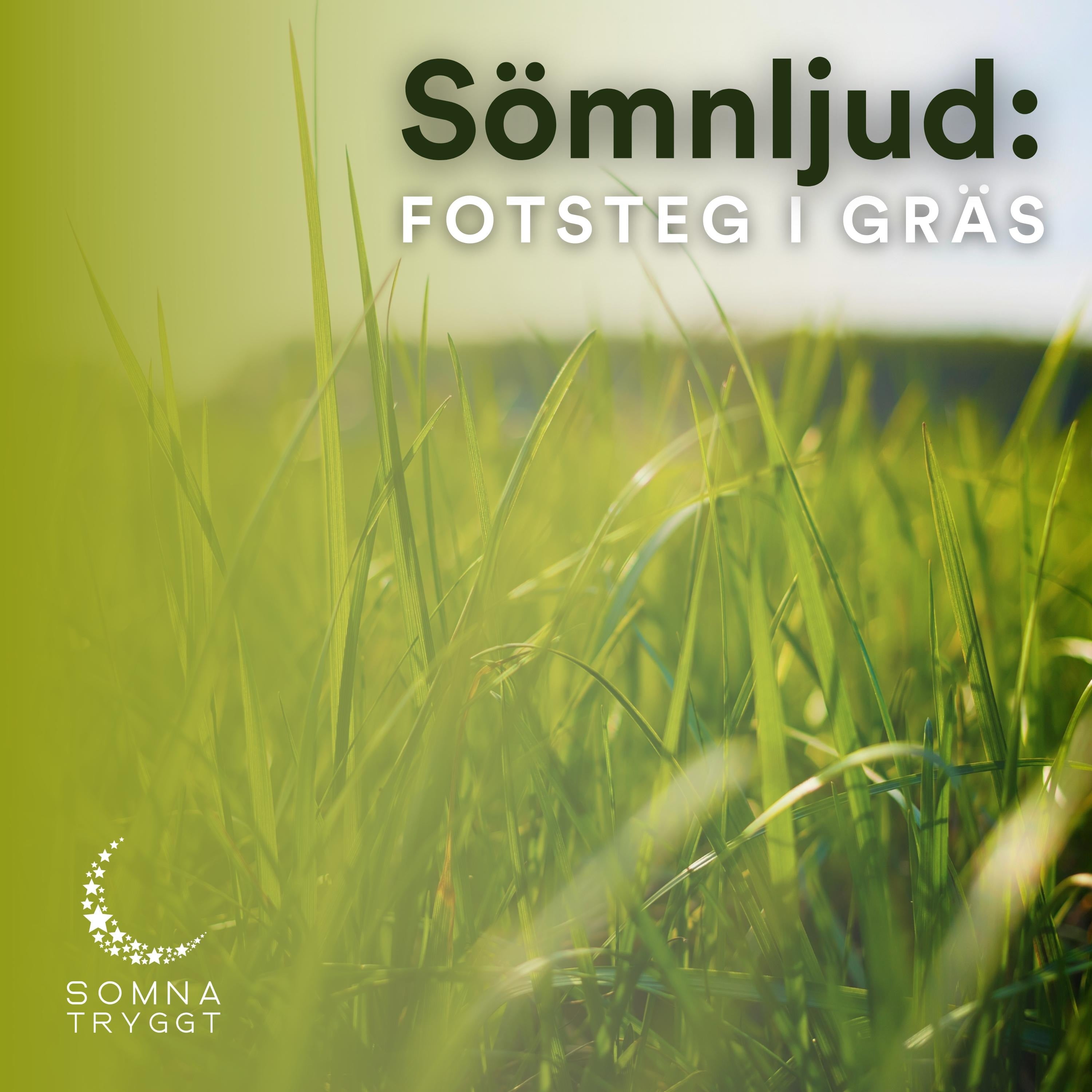 Sömnljud: