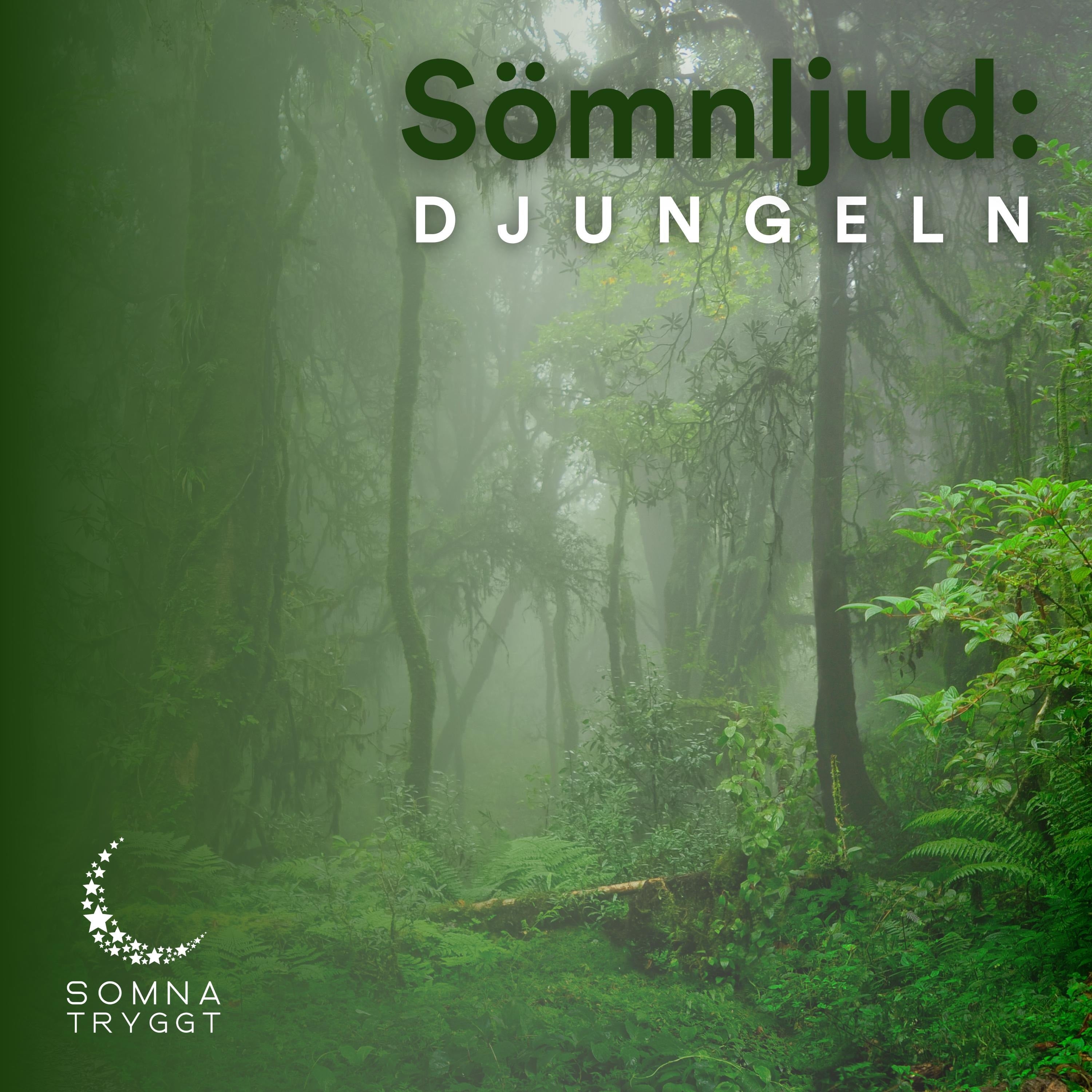 Sömnljud: