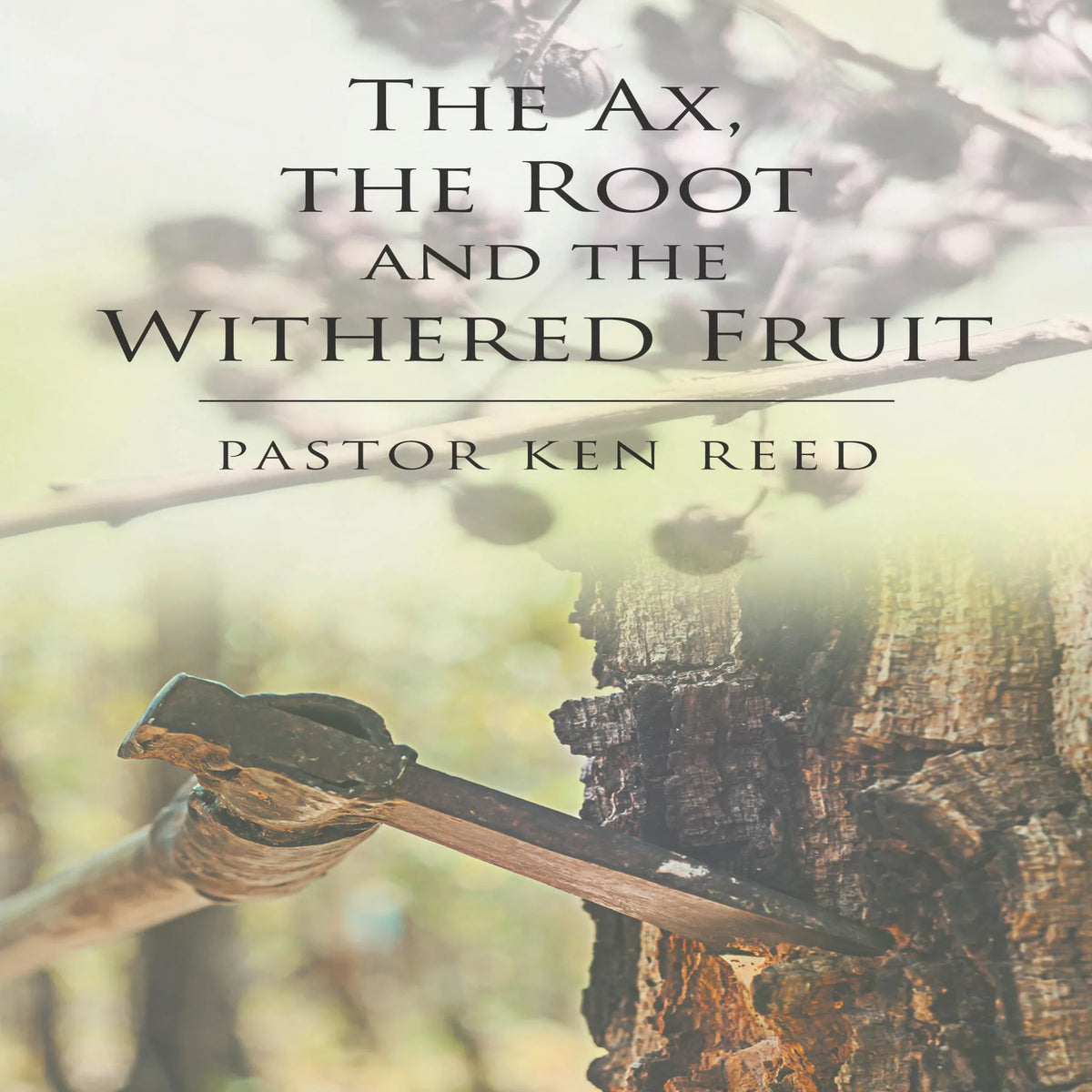 The Axe, the Root and the Withered Fruit