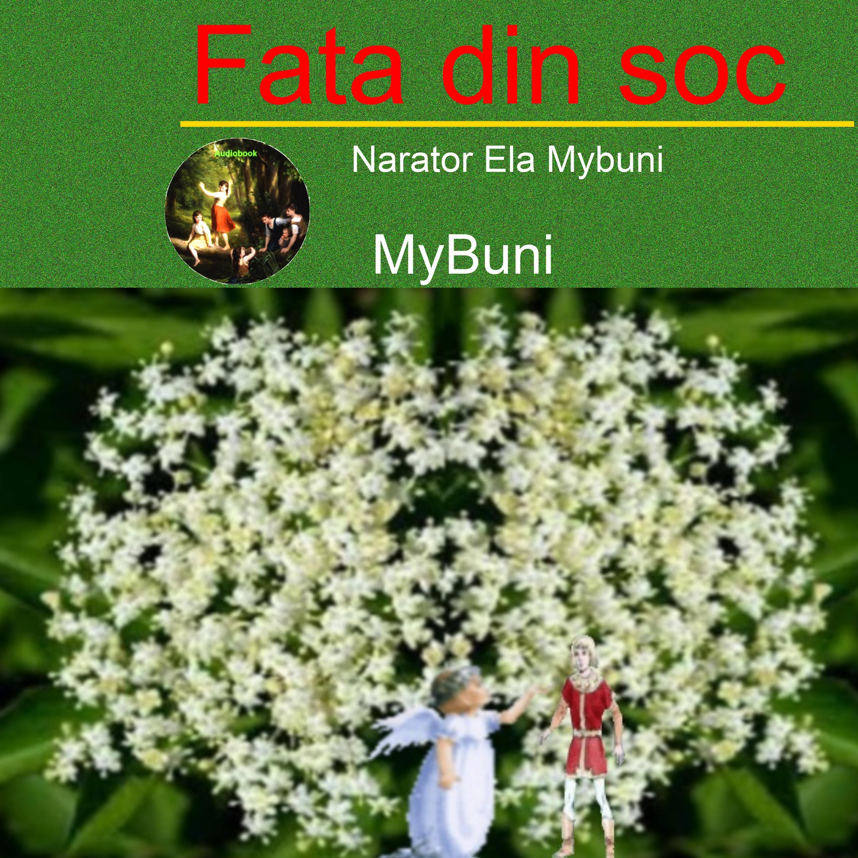 Fata din soc