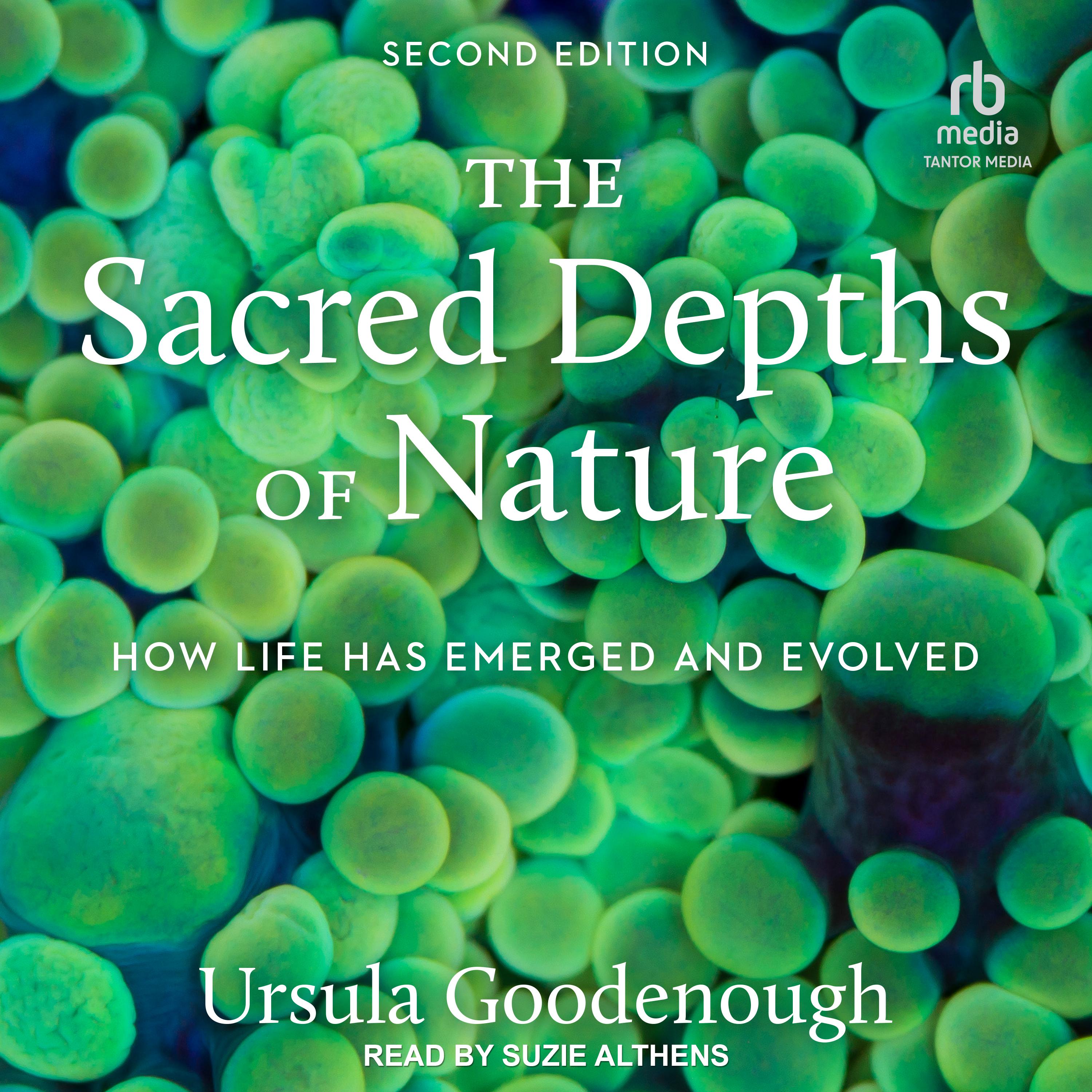 The Sacred Depths of Nature