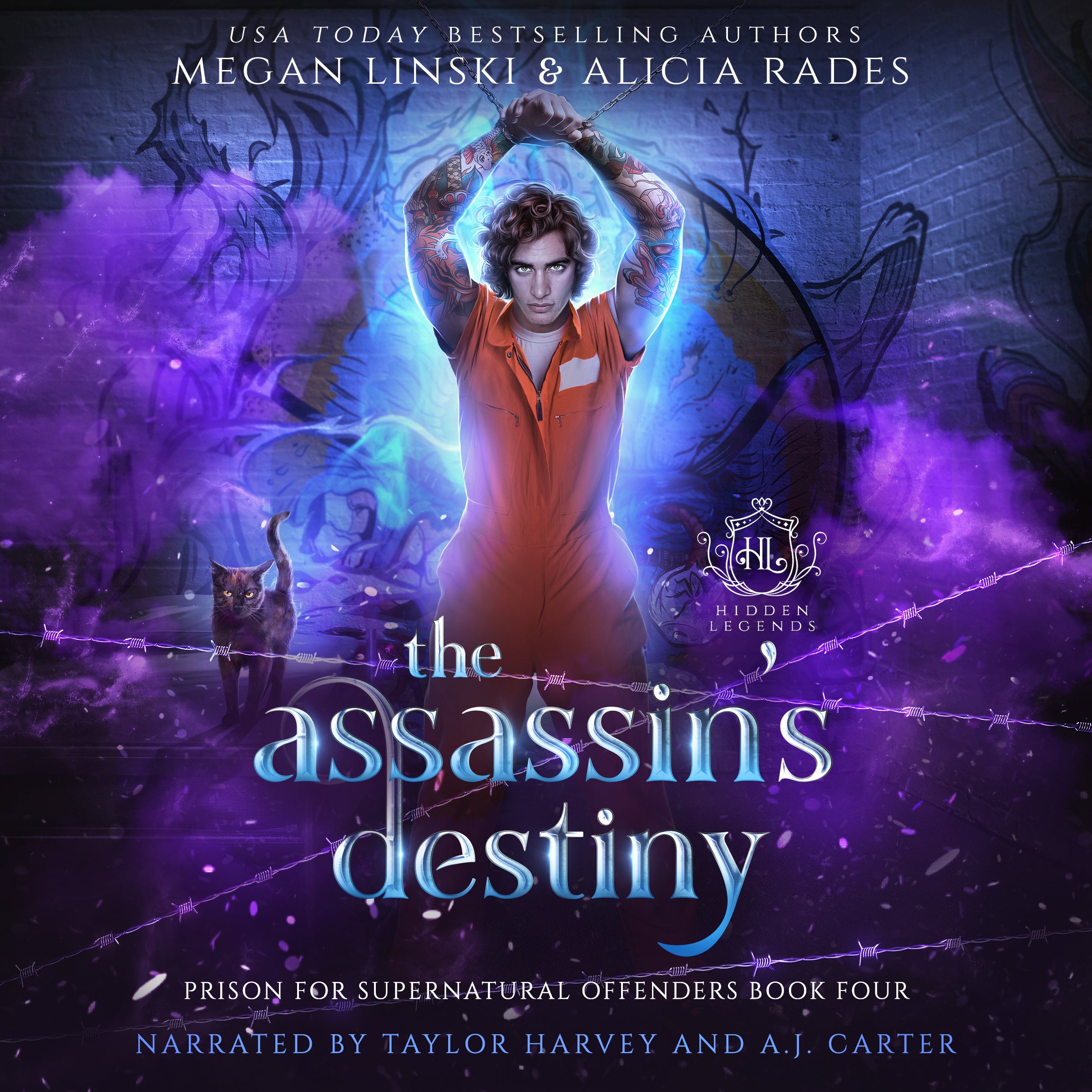The Assassin's Destiny