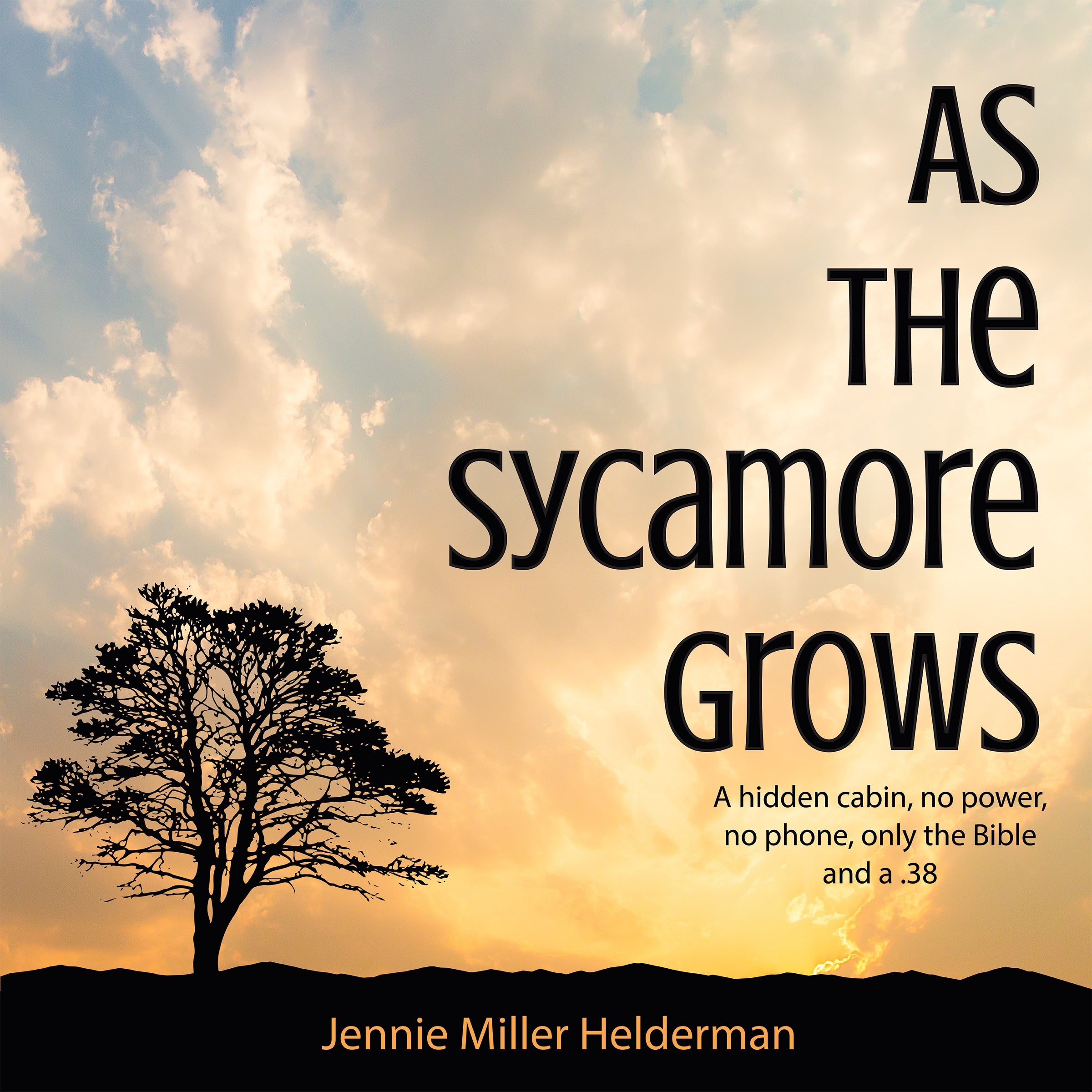 As the Sycamore Grows