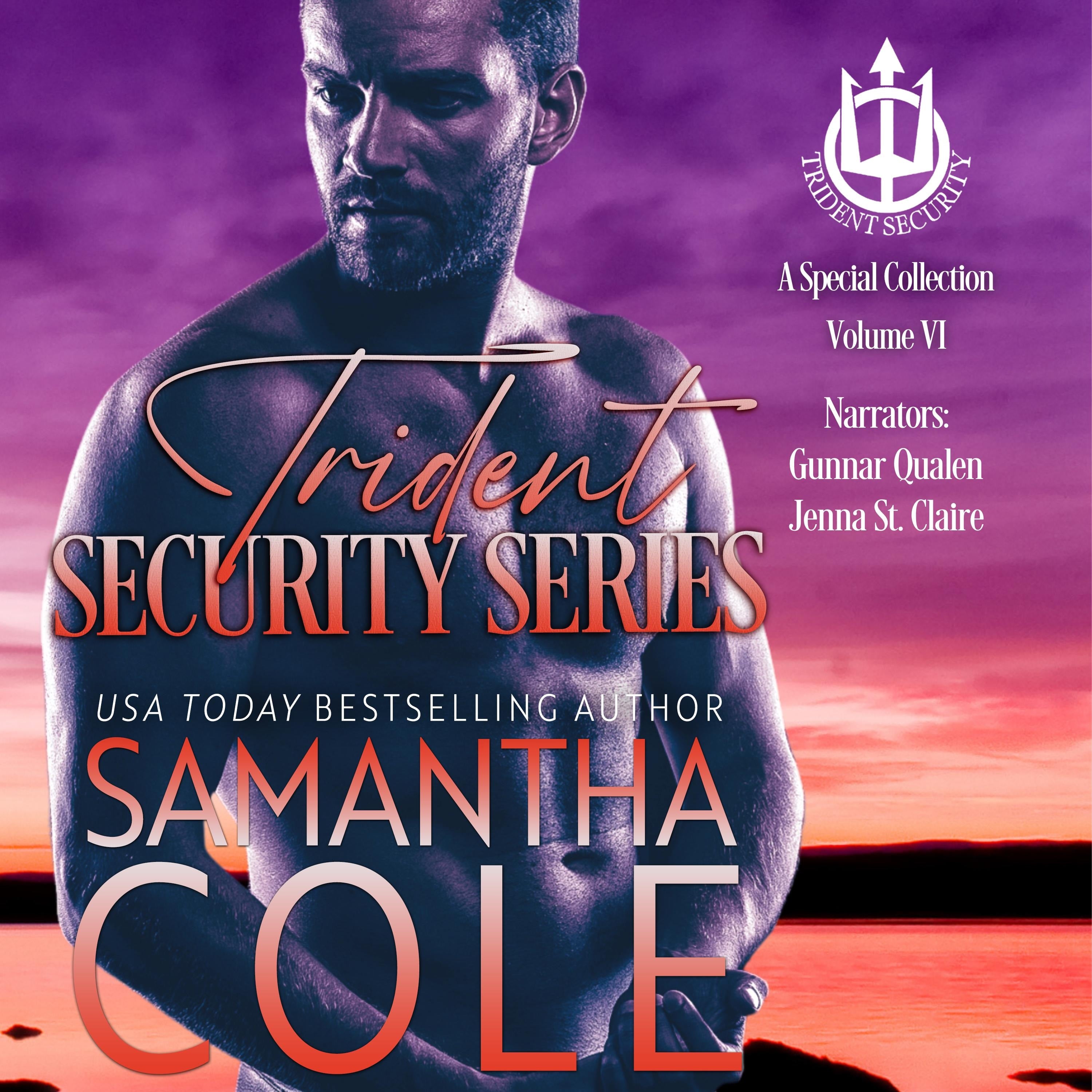 Trident Security Series: A Special Collection: Volume VI