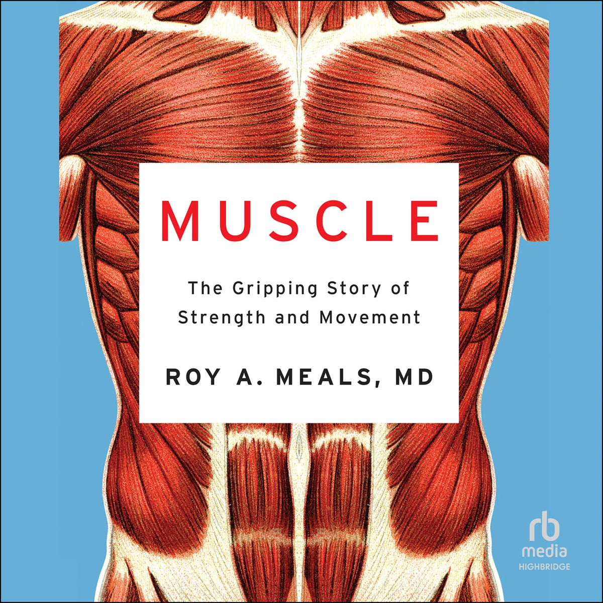 Muscle