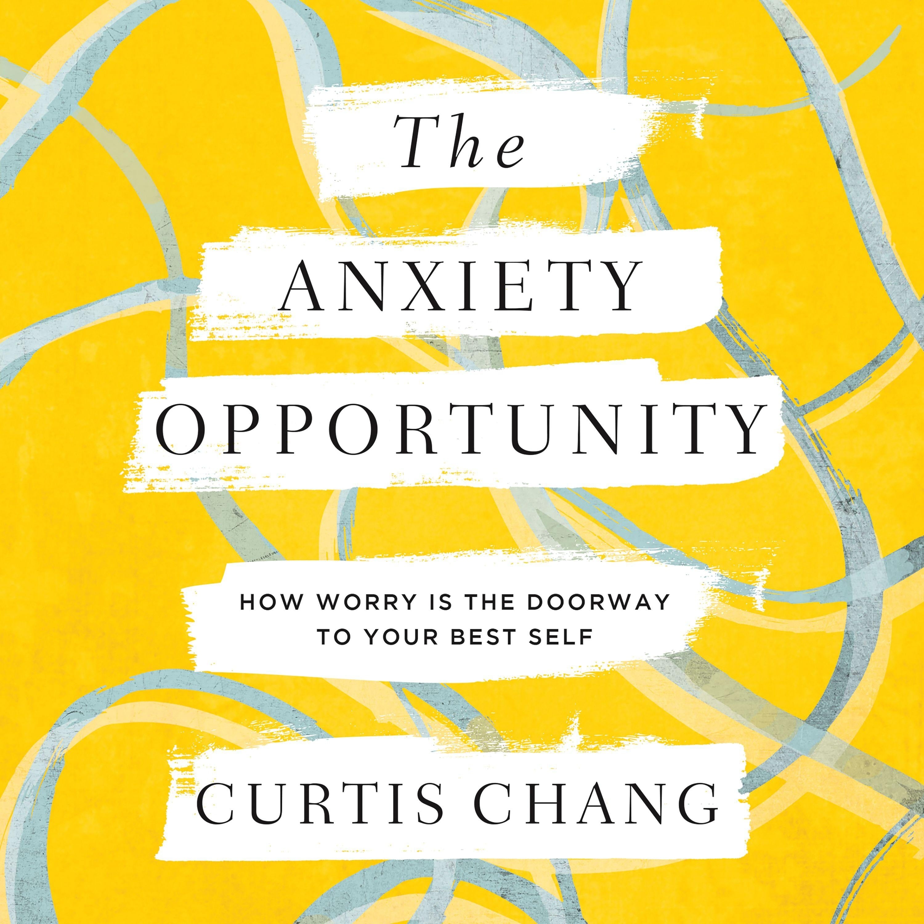 The Anxiety Opportunity