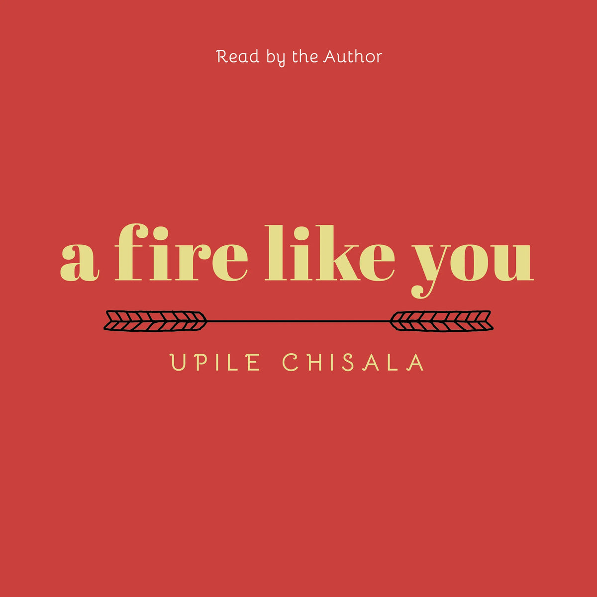 A Fire Like You