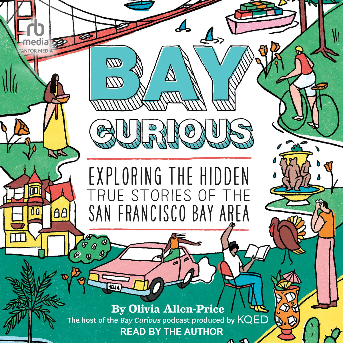 Bay Curious