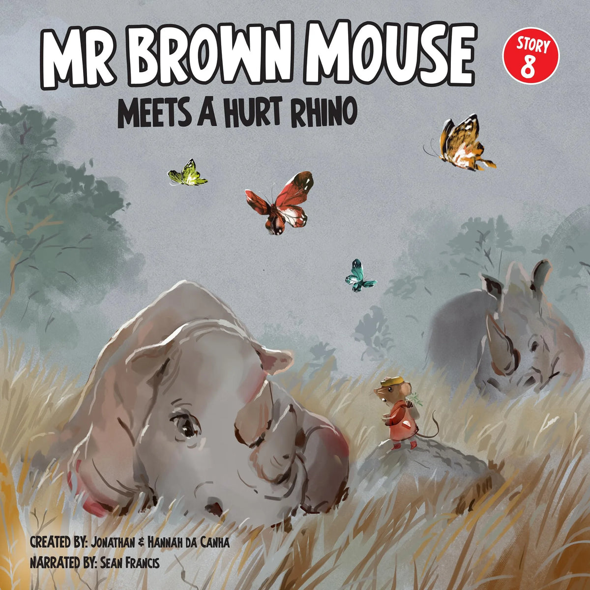 Mr Brown Mouse And The Hurt Rhino