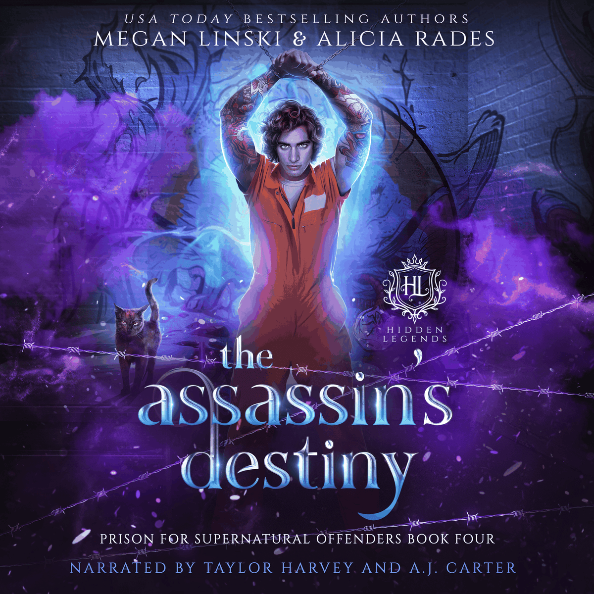 The Assassin's Destiny