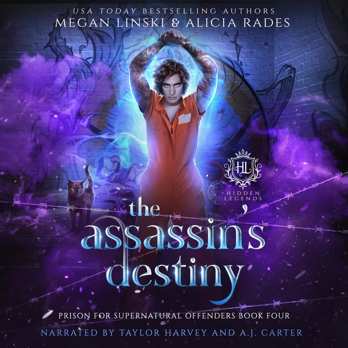 The Assassin's Destiny