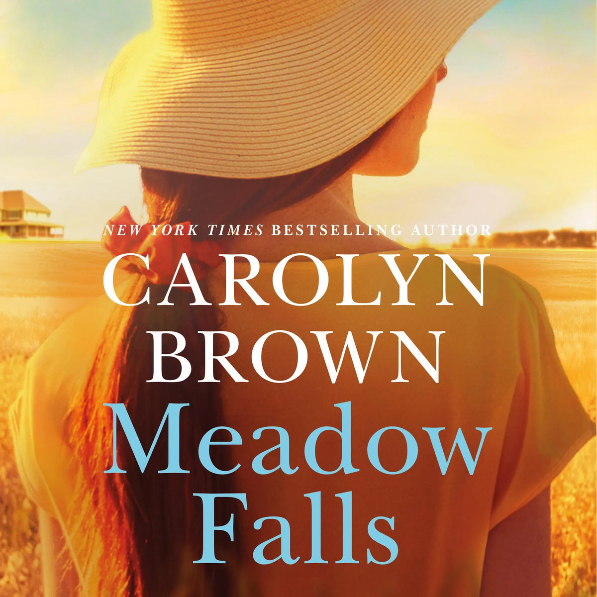 Meadow Falls