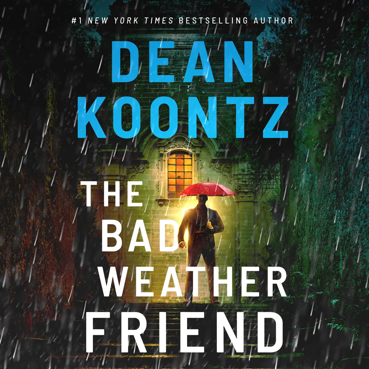 The Bad Weather Friend