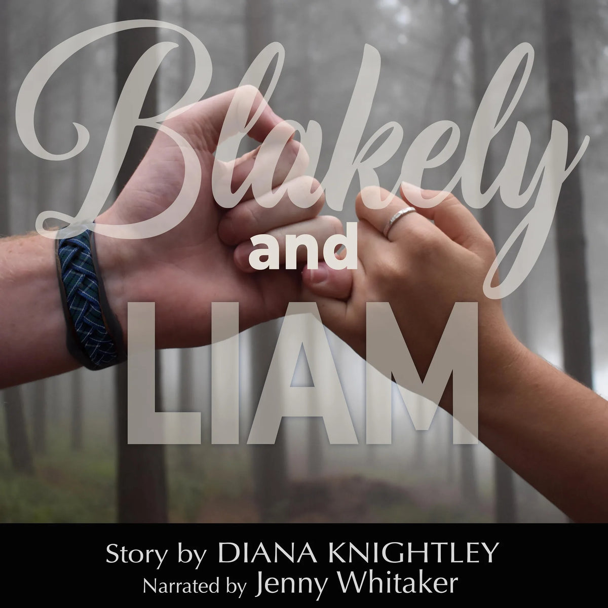 Blakely and Liam (The Campbell Sons)