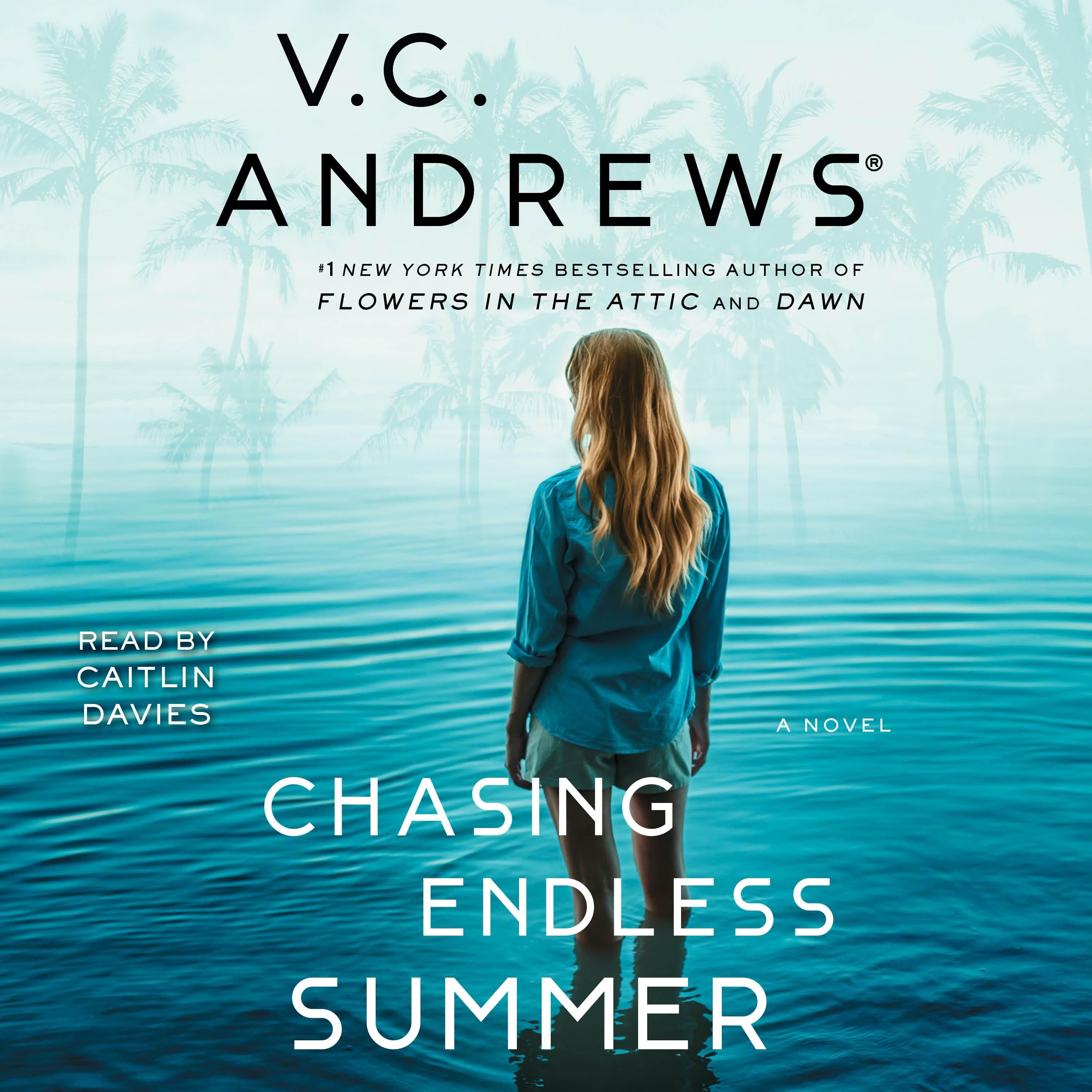 Chasing Endless Summer