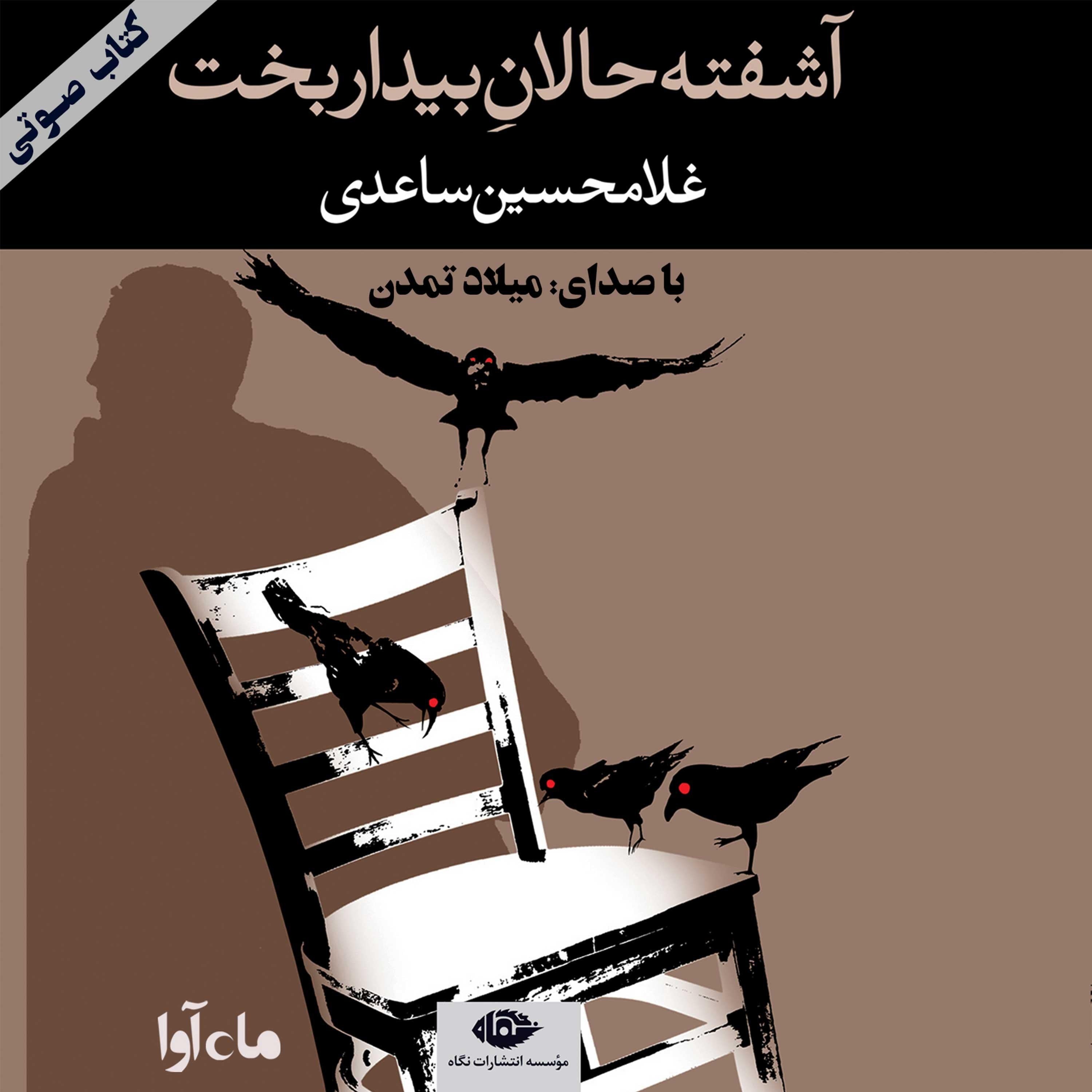 آشفته حالان بیداربخت