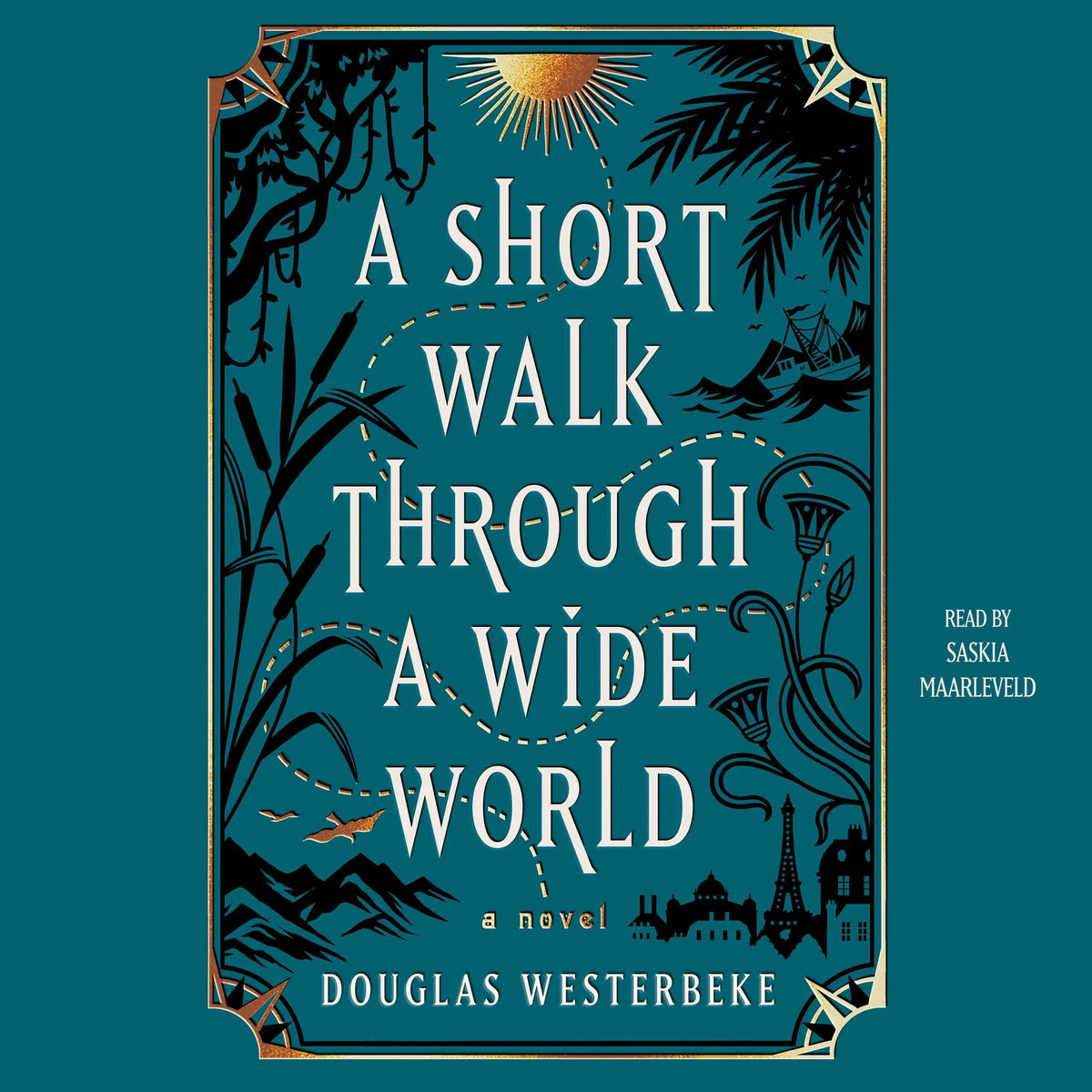 A Short Walk Through a Wide World