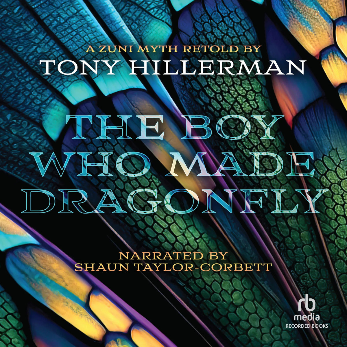 The Boy Who Made Dragonfly