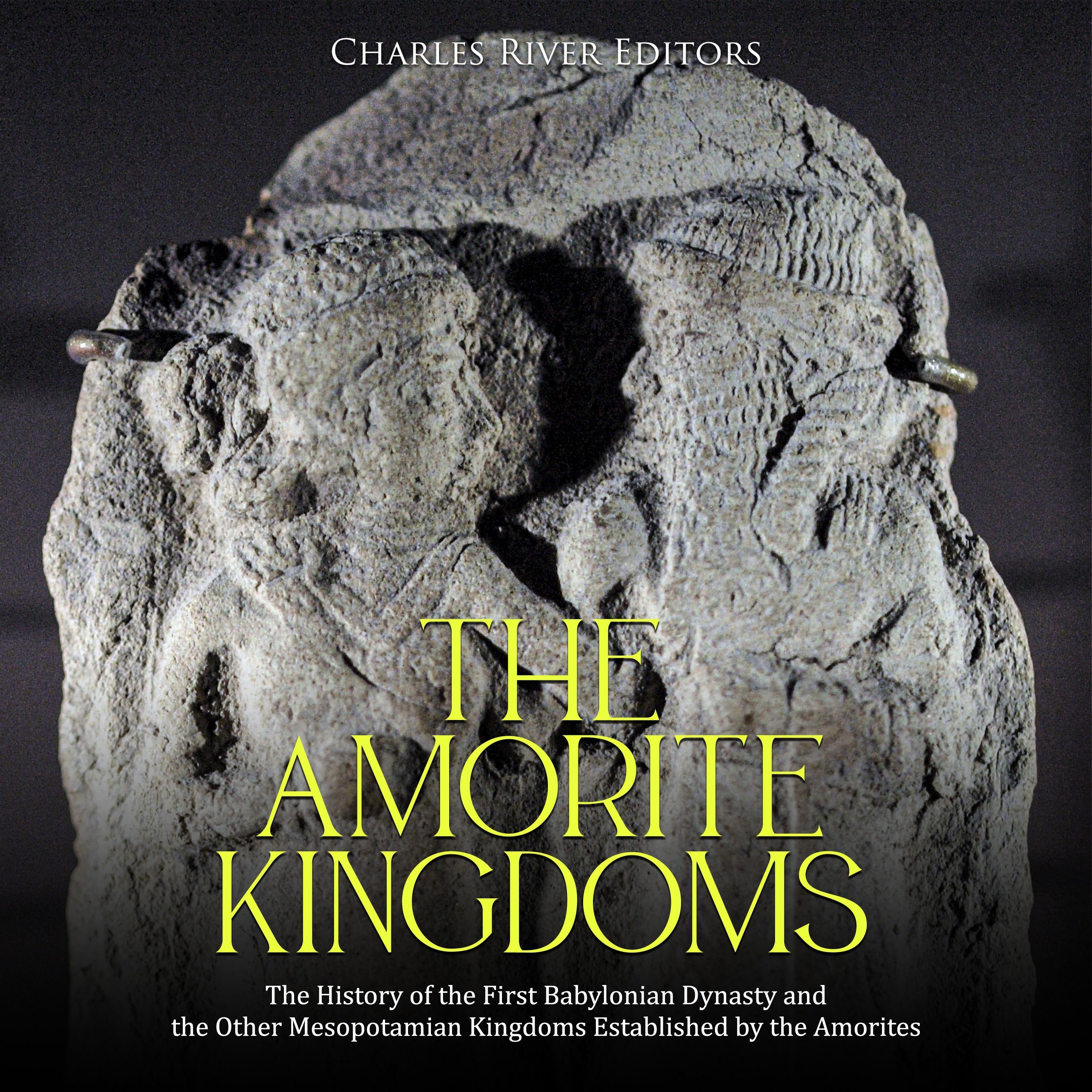 The Amorite Kingdoms: The History of the First Babylonian Dynasty and the Other Mesopotamian Kingdoms Established by the Amorites