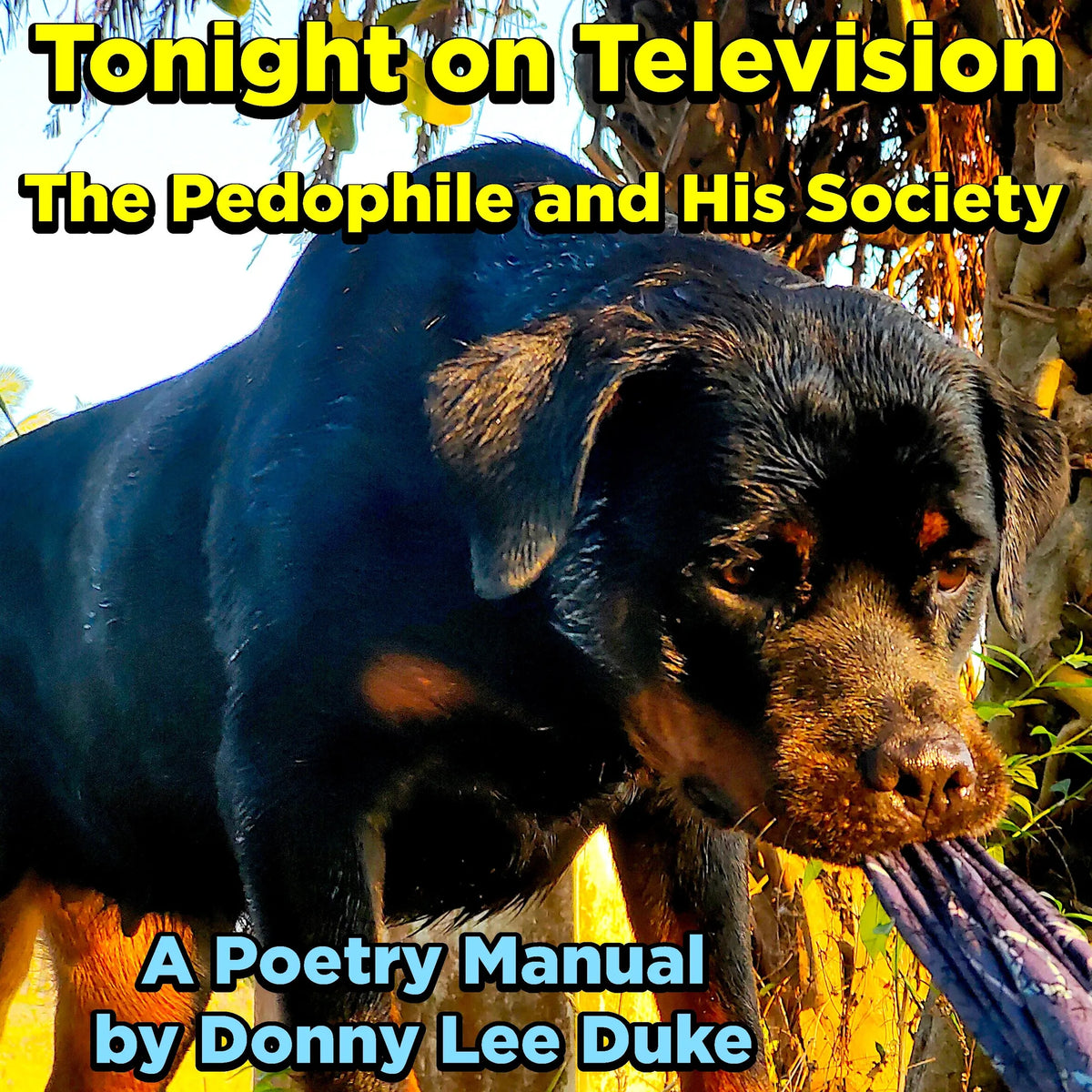 Tonight on Television
