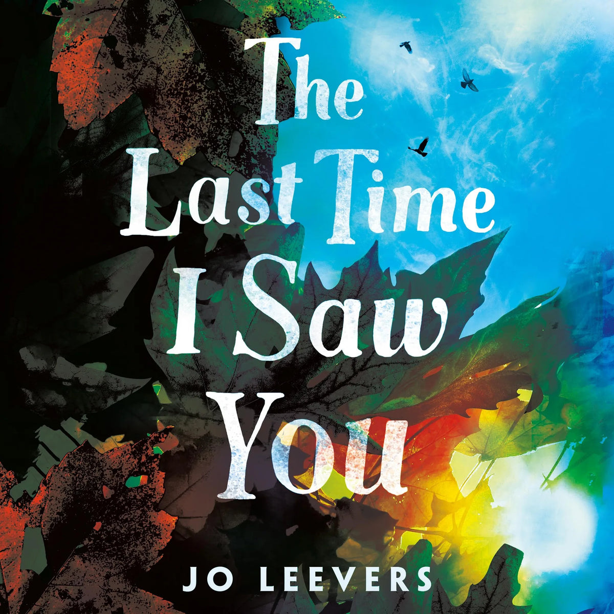The Last Time I Saw You