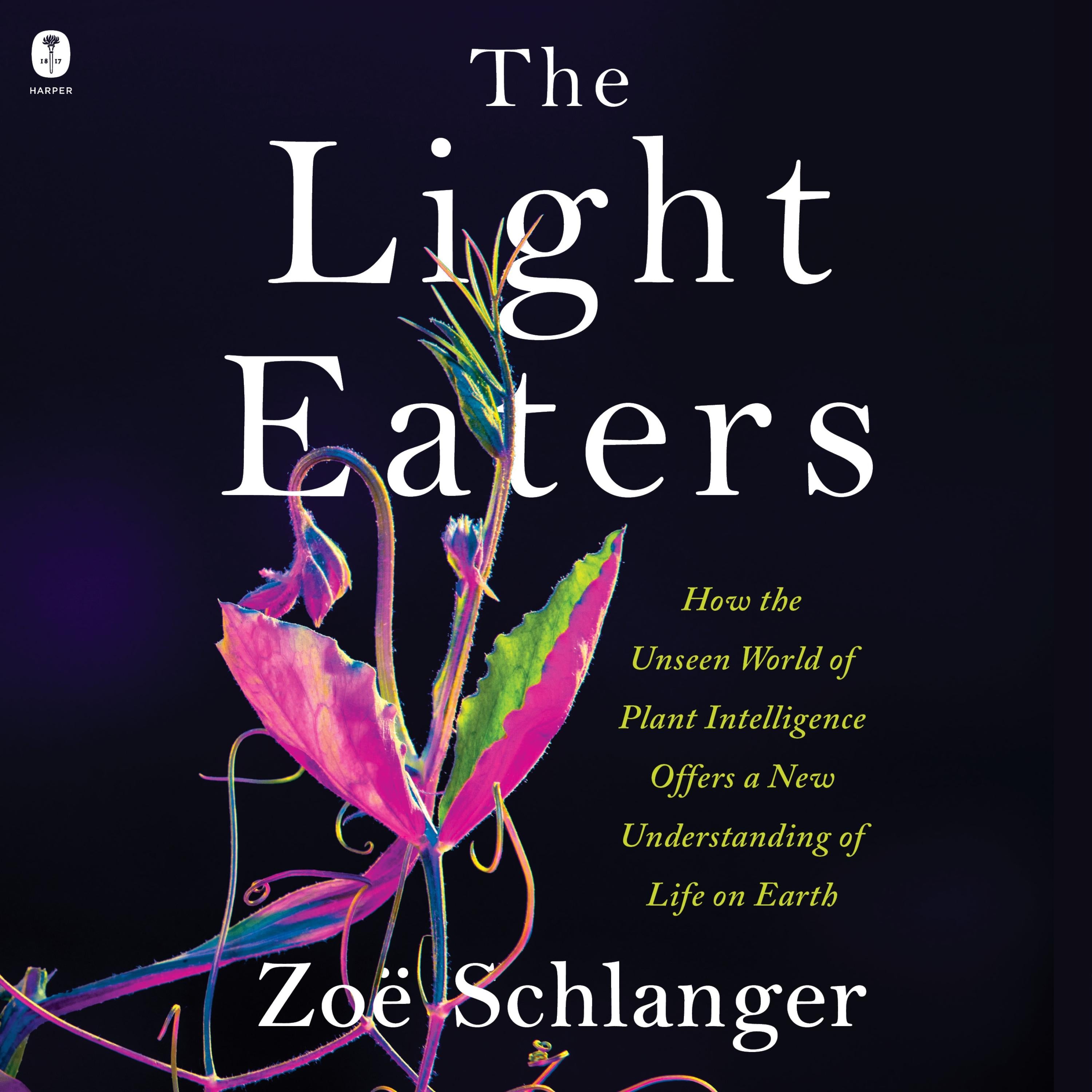 The Light Eaters
