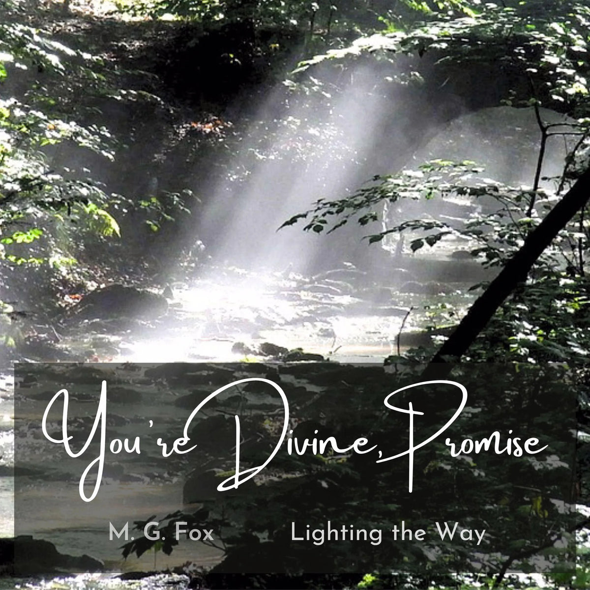 You’re Divine, Promise