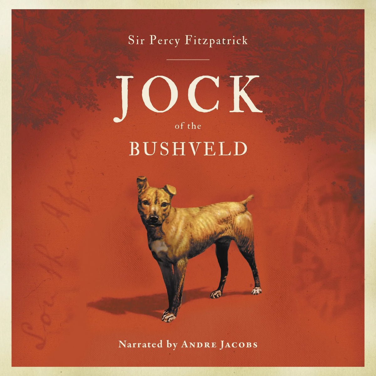 Jock of the Bushveld