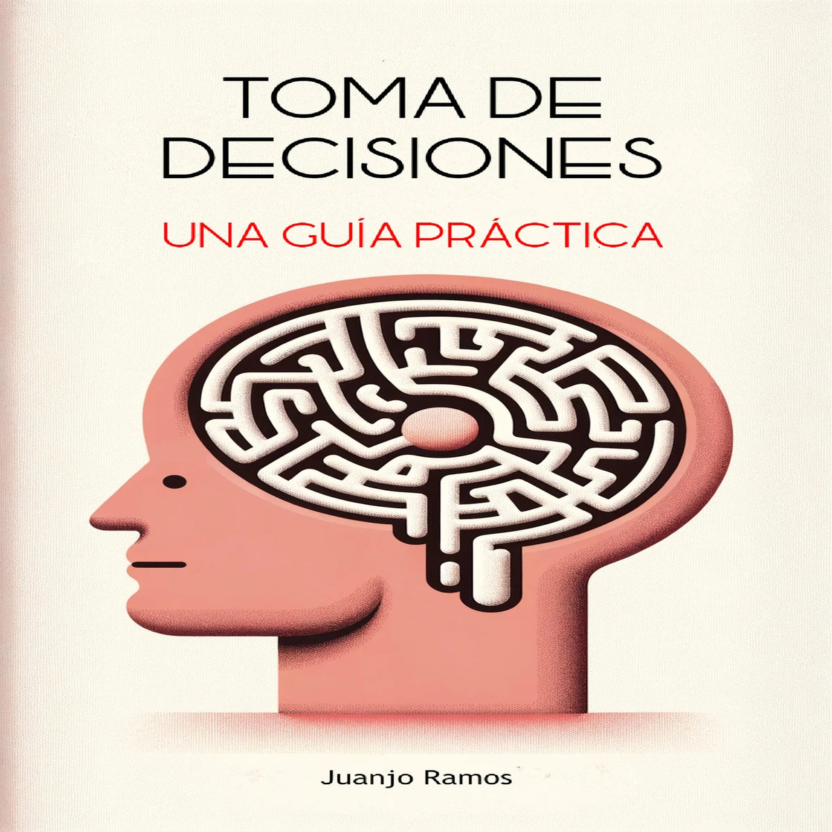 Toma de decisiones: una guía práctica