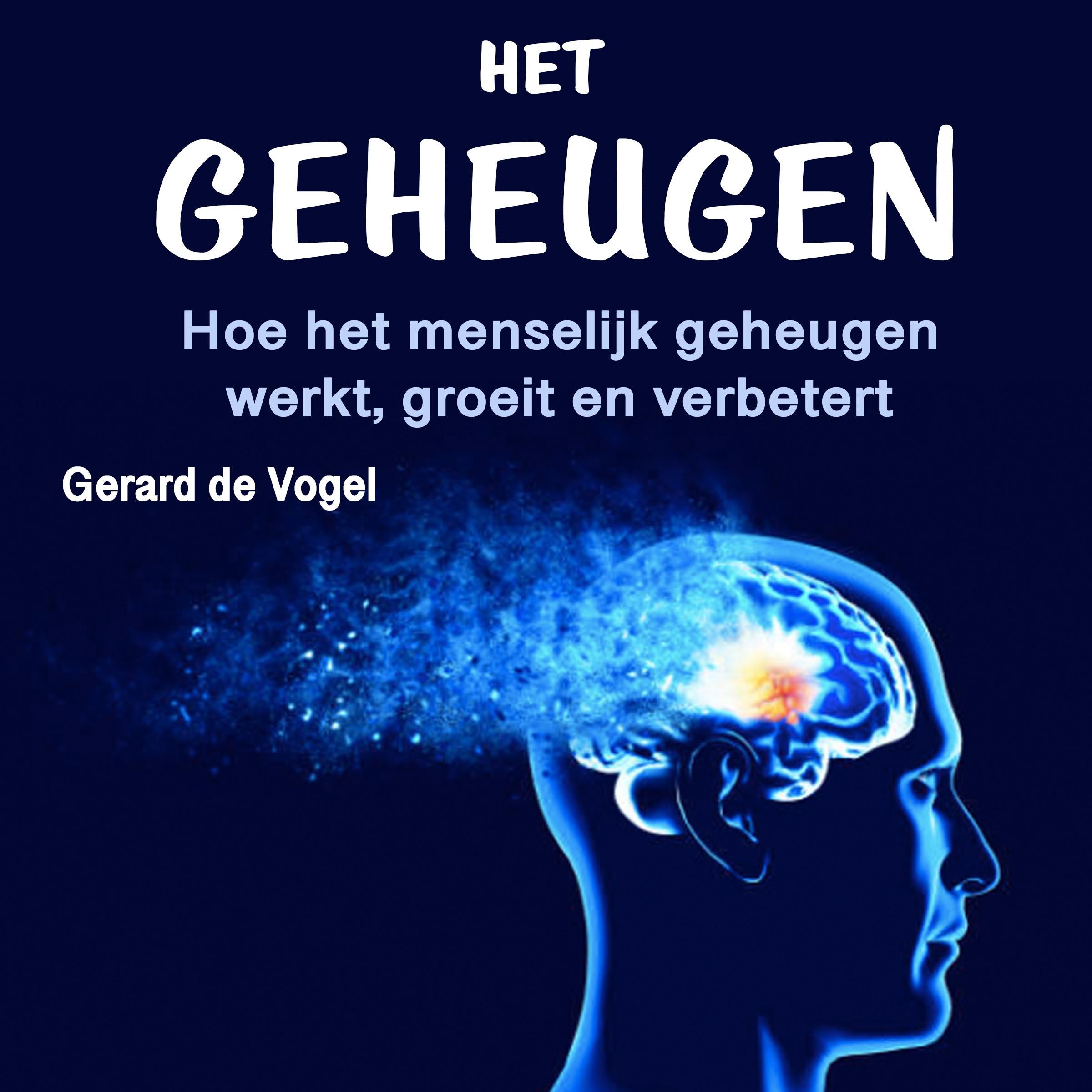 Het geheugen
