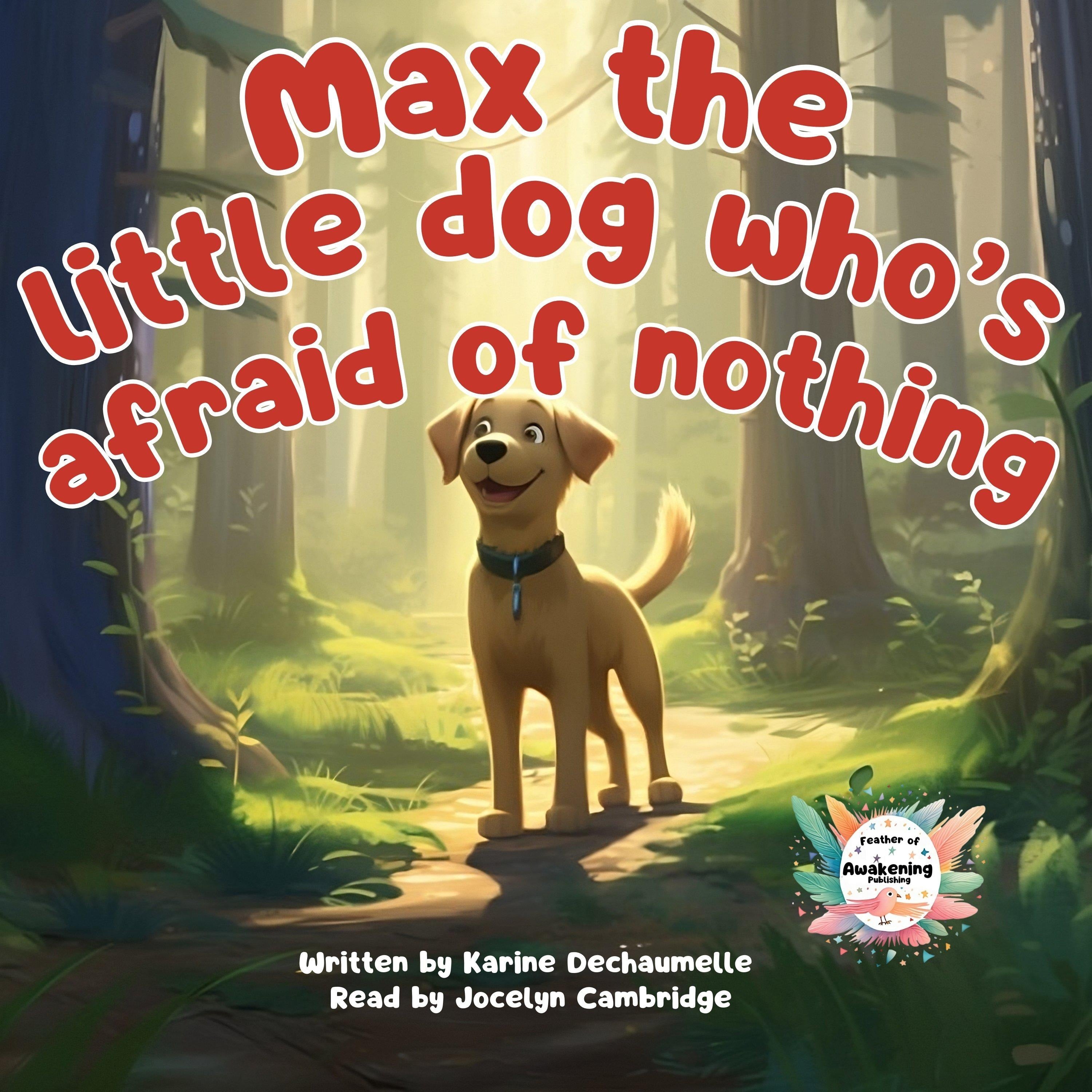 Max the little dog who's afraid of nothing