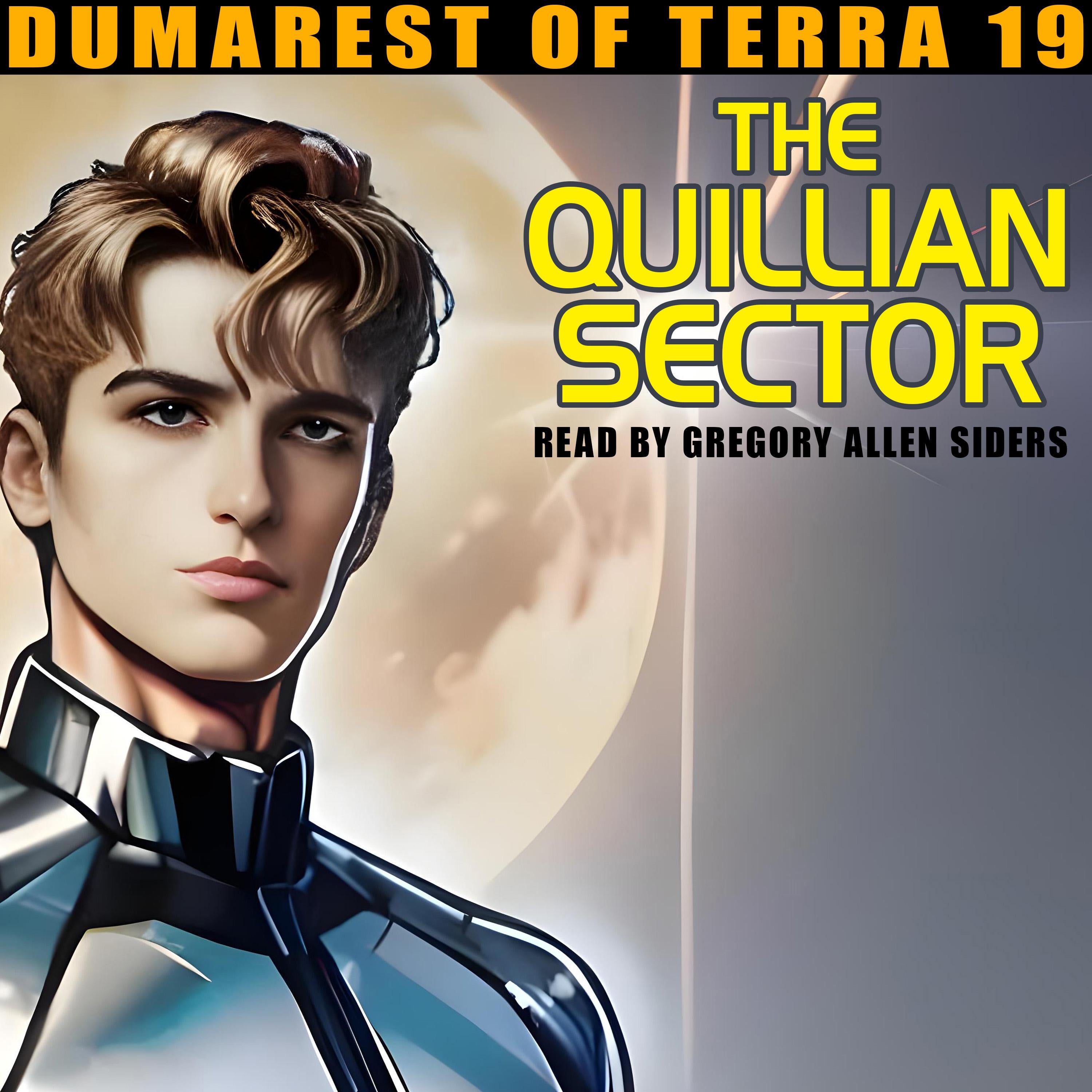 The Quillian Sector