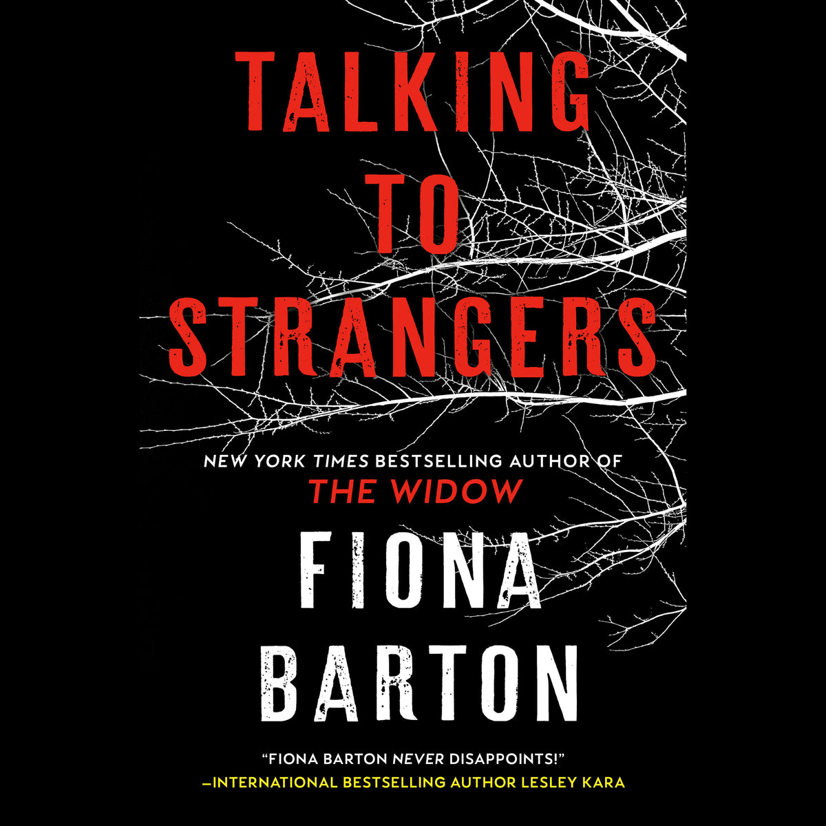 Talking to Strangers